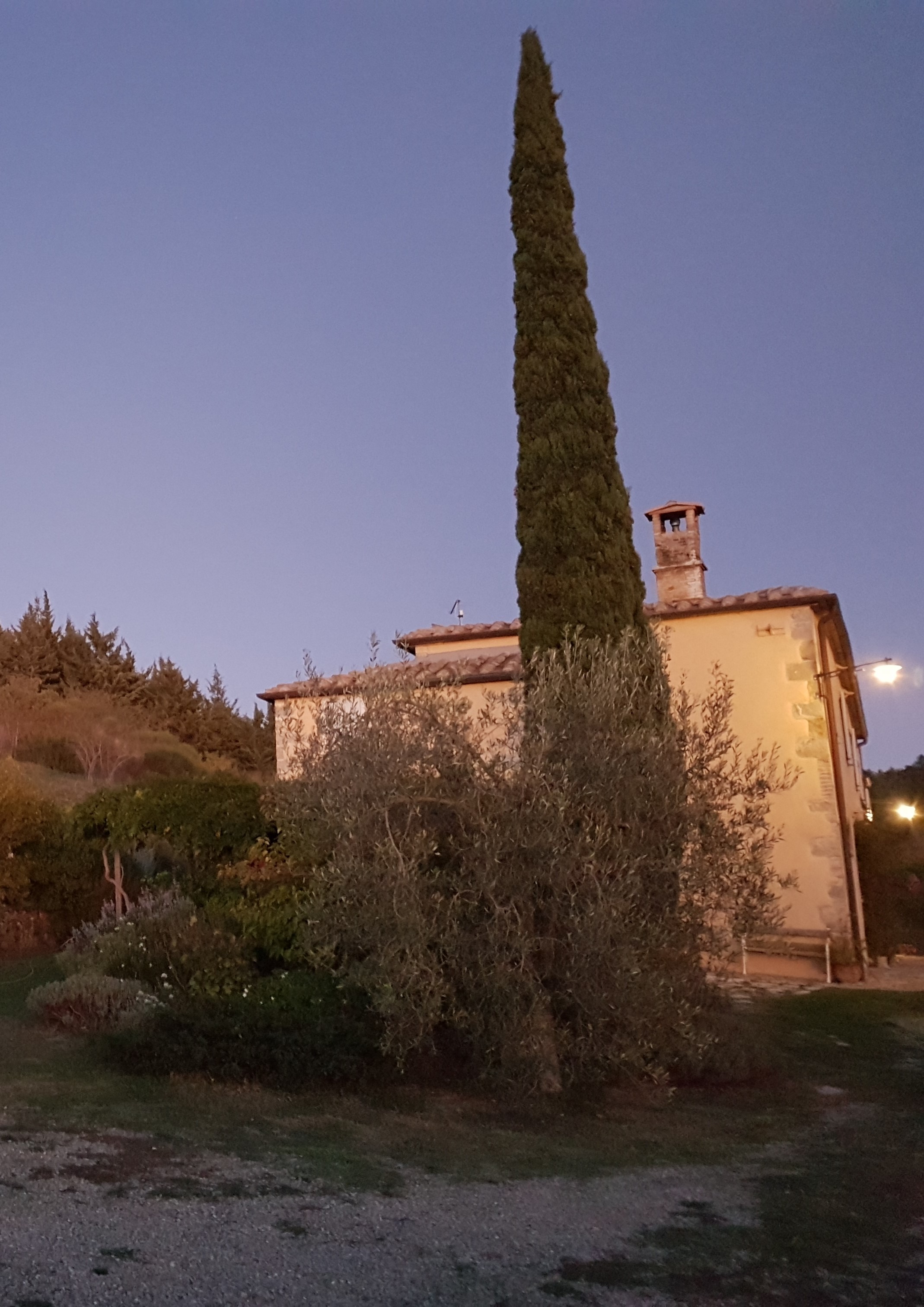 乡村别墅抗震加固与修复-5