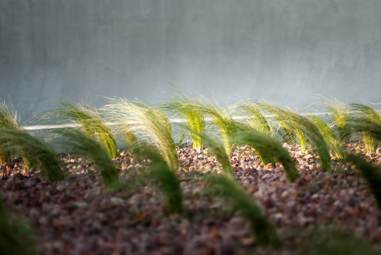 创新数字网络 VoipVoice 总部设计-53