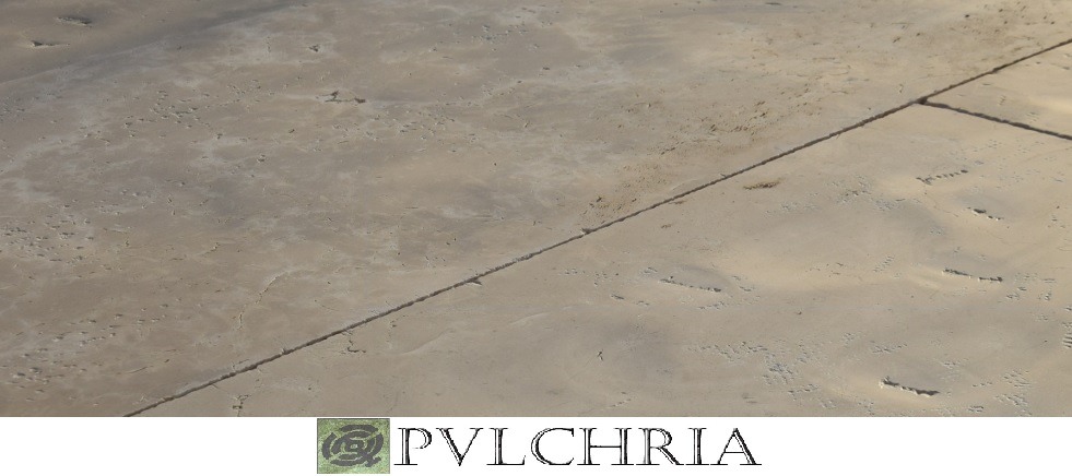 永恒的自然之美 · 意大利石材与木质空间-40