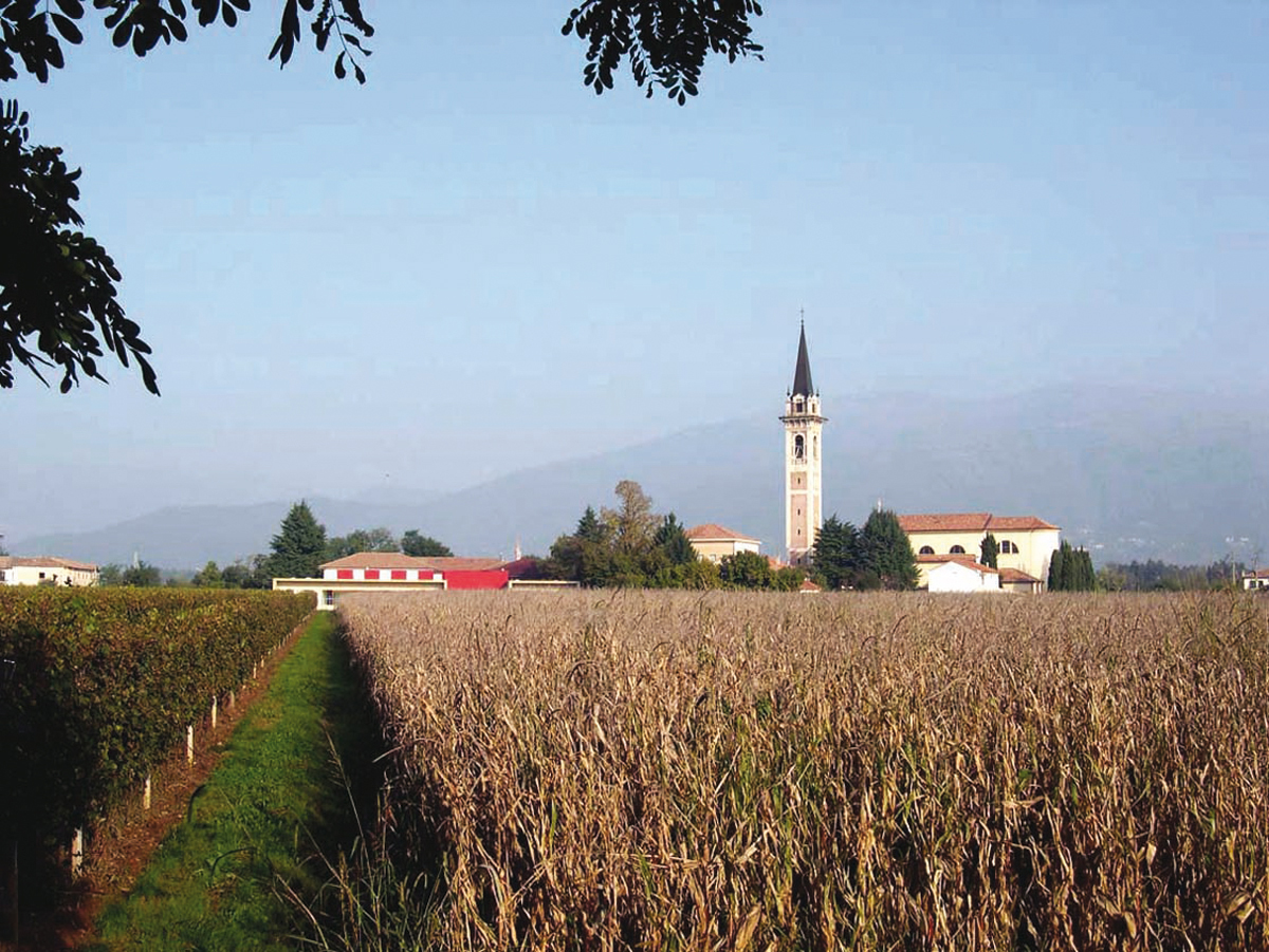 科沃罗幼儿园-39