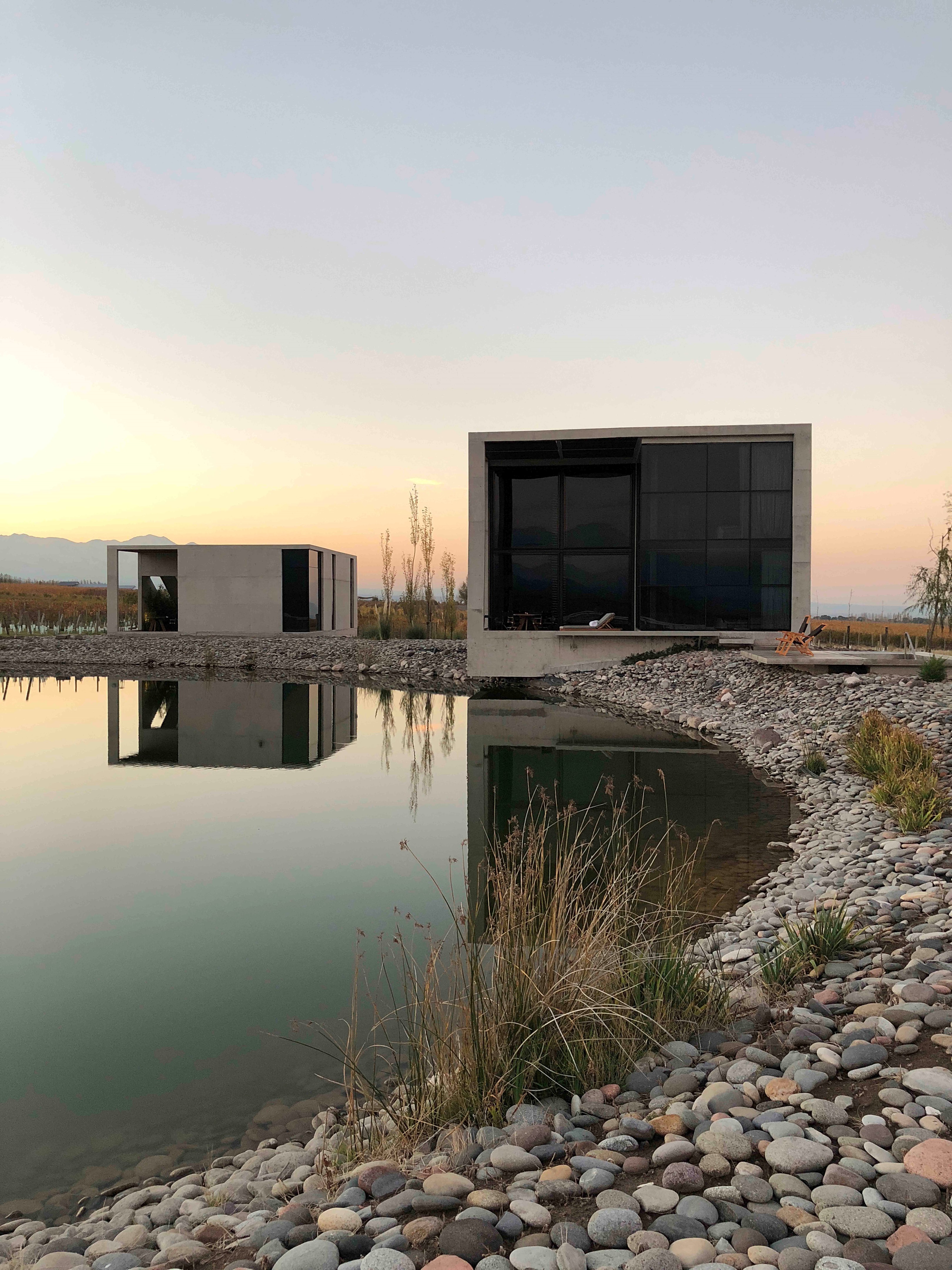 高山葡萄园里的绿色环保别墅-26