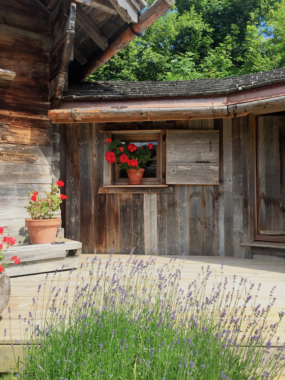 自然元素打造的阿尔卑斯山居设计-5