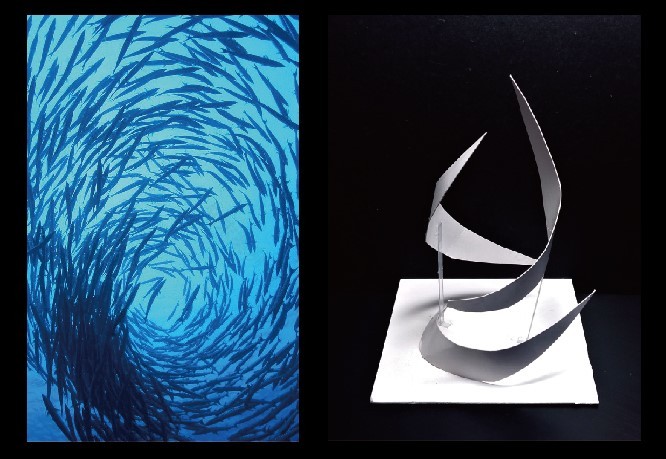 生态容器家园 | 绿色森林中的秘境探索-20