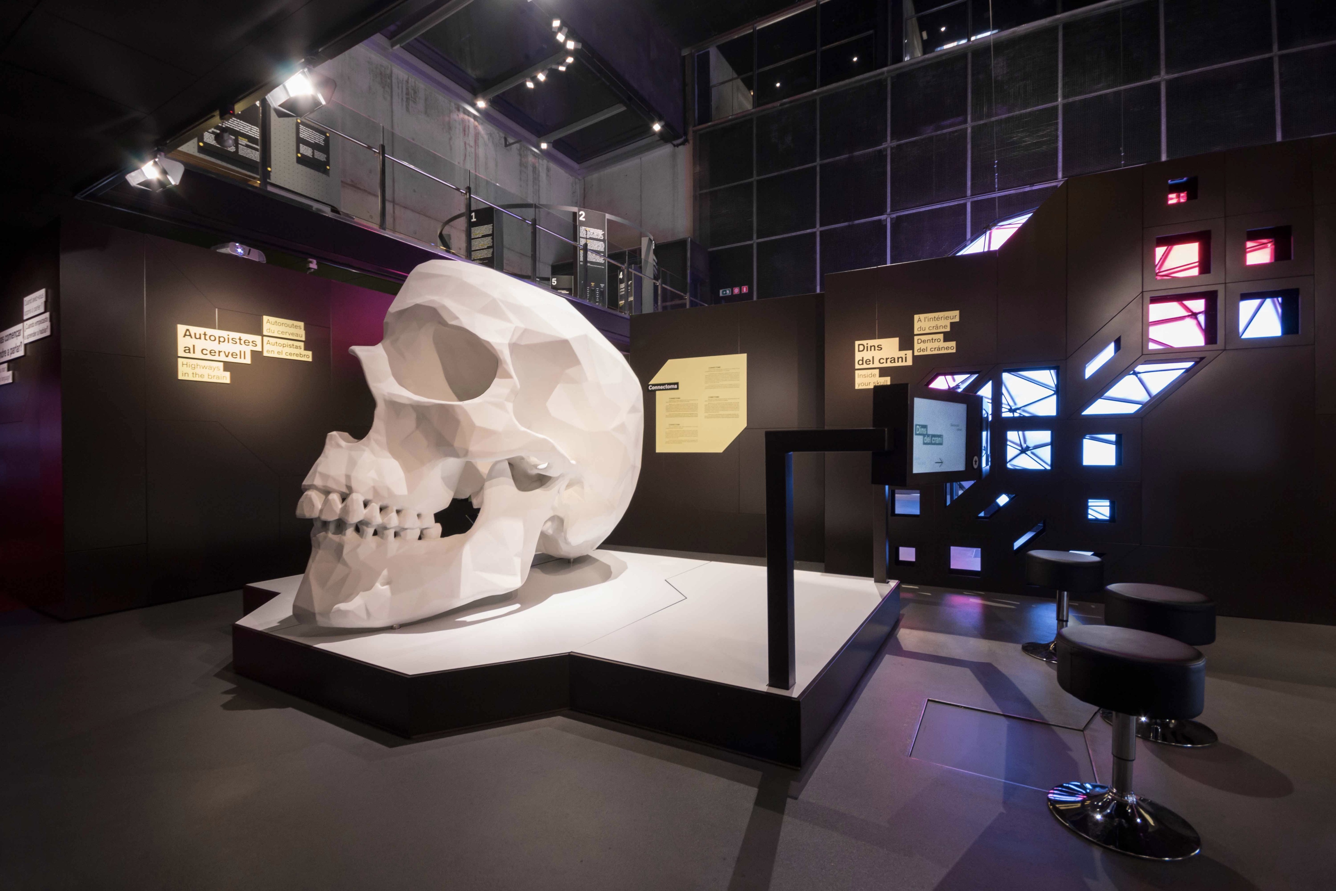 Talking Brains 展览设计-40