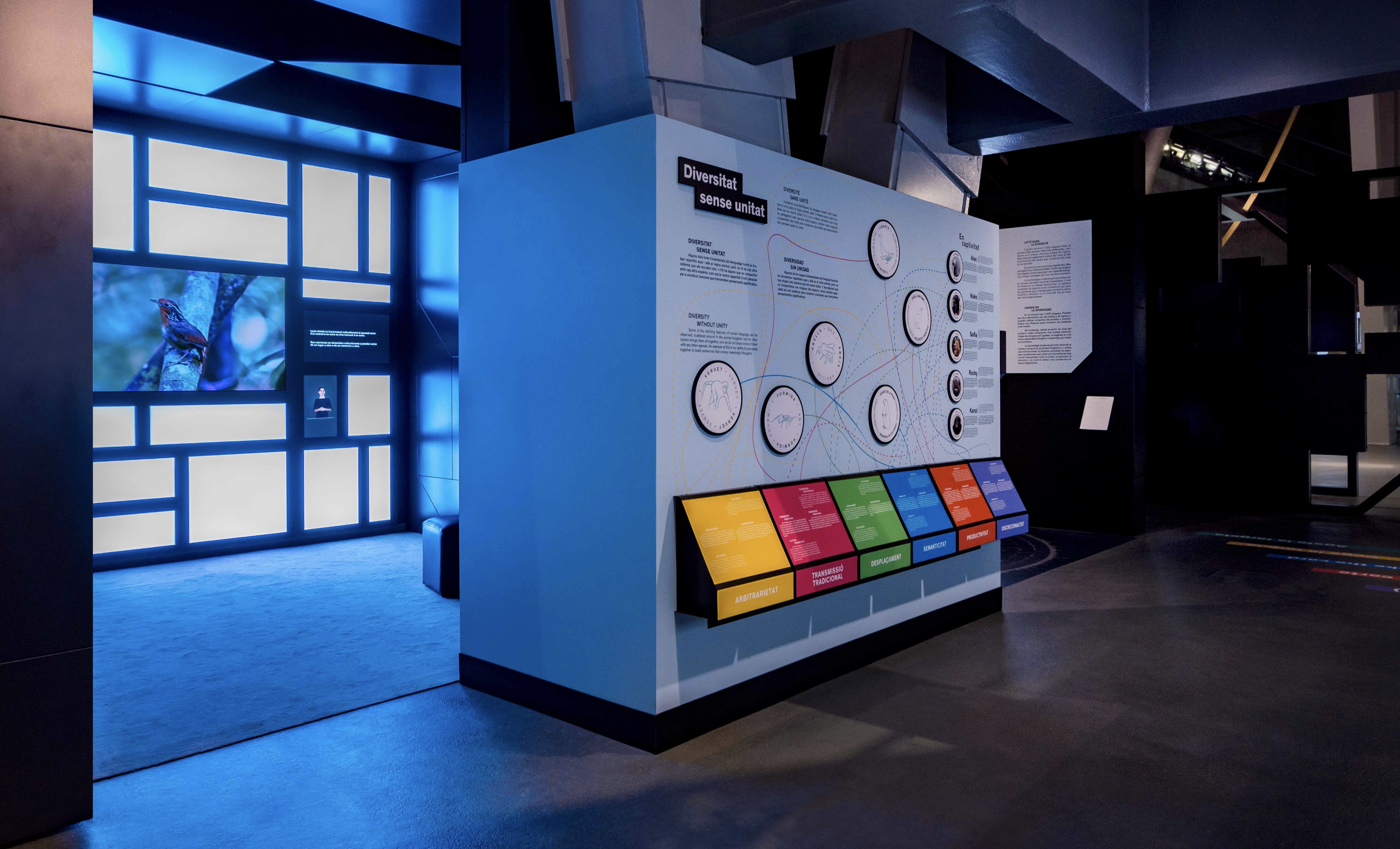 Talking Brains 展览设计-21