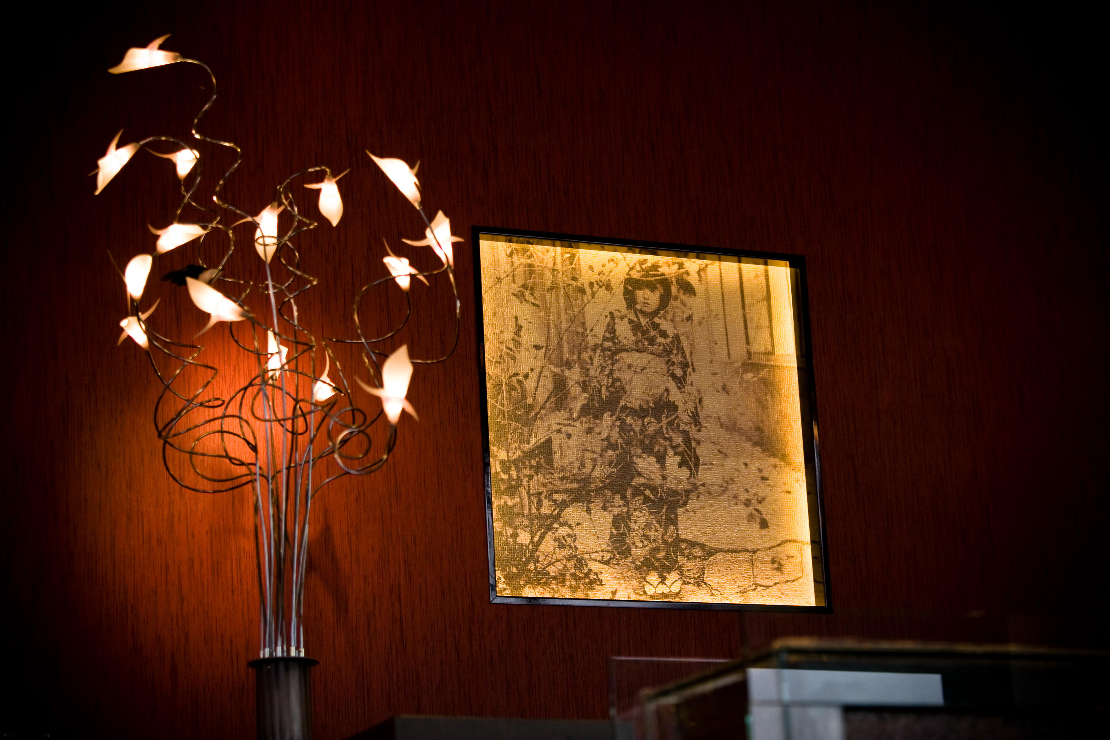 2008 年完成的罗马尼亚 Maiko 日料店设计-15