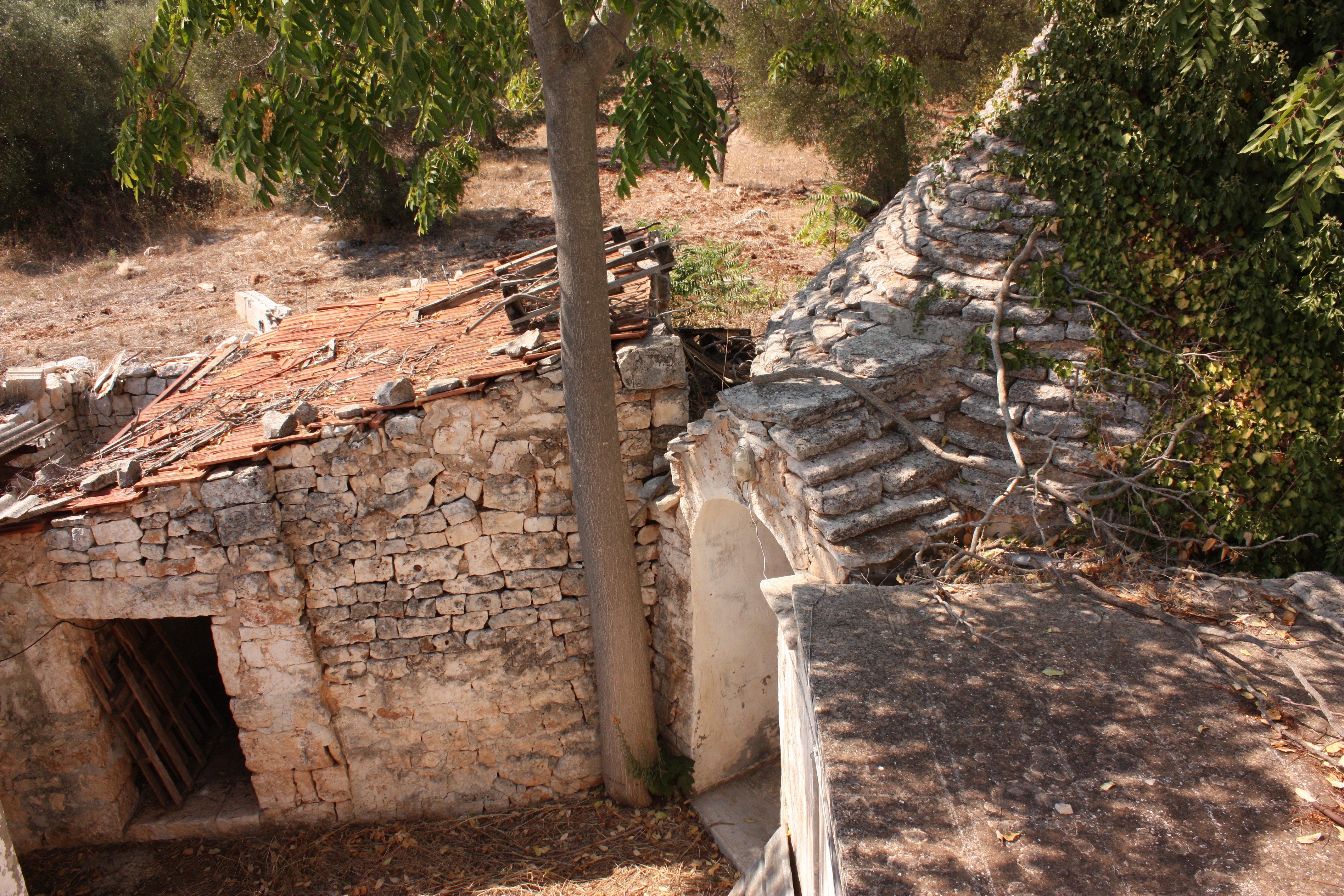 意大利普利亚地区古老农场修复-7
