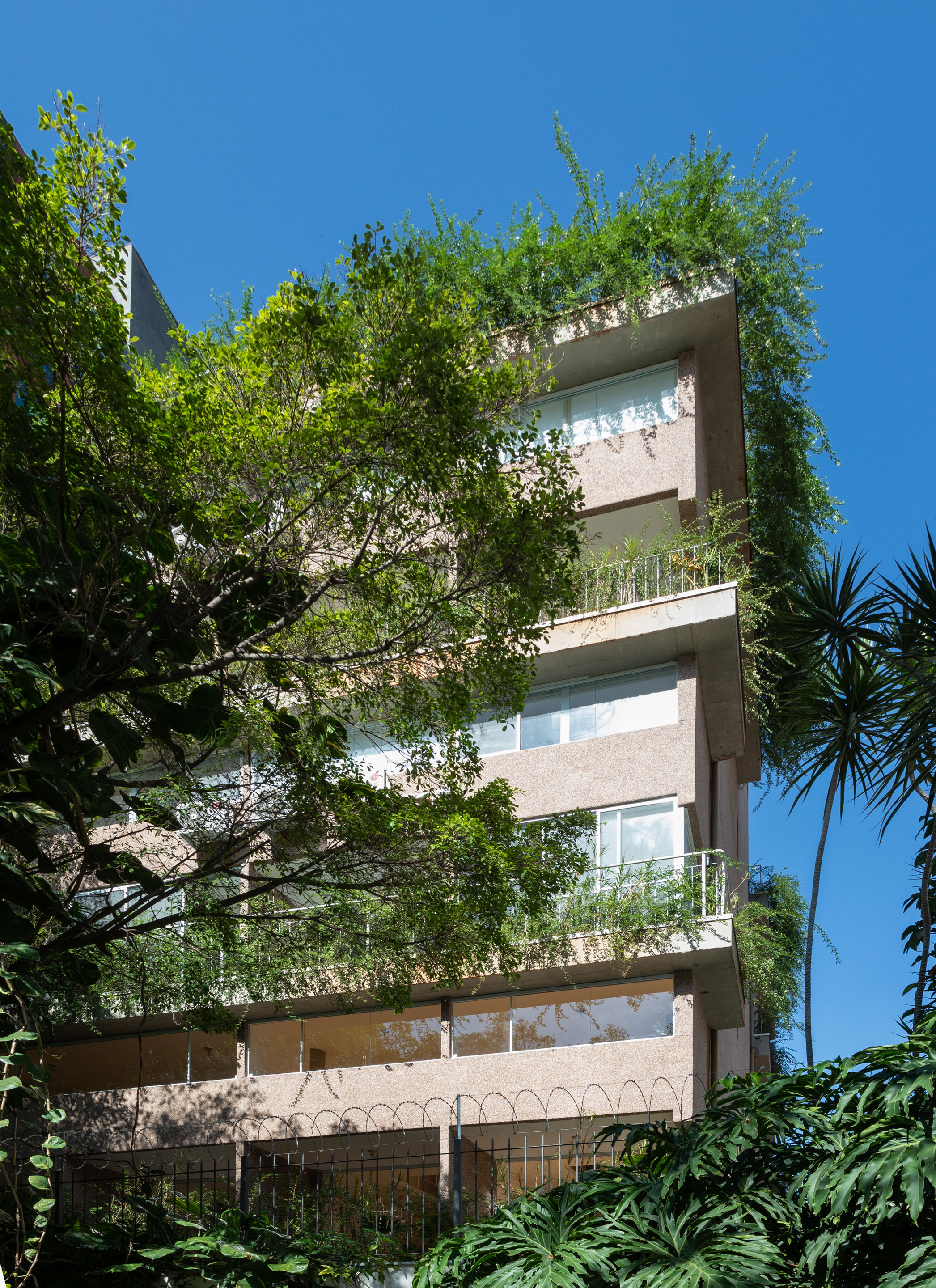 巴西绿色住宅楼，绿意盎然与城市景观相融-6