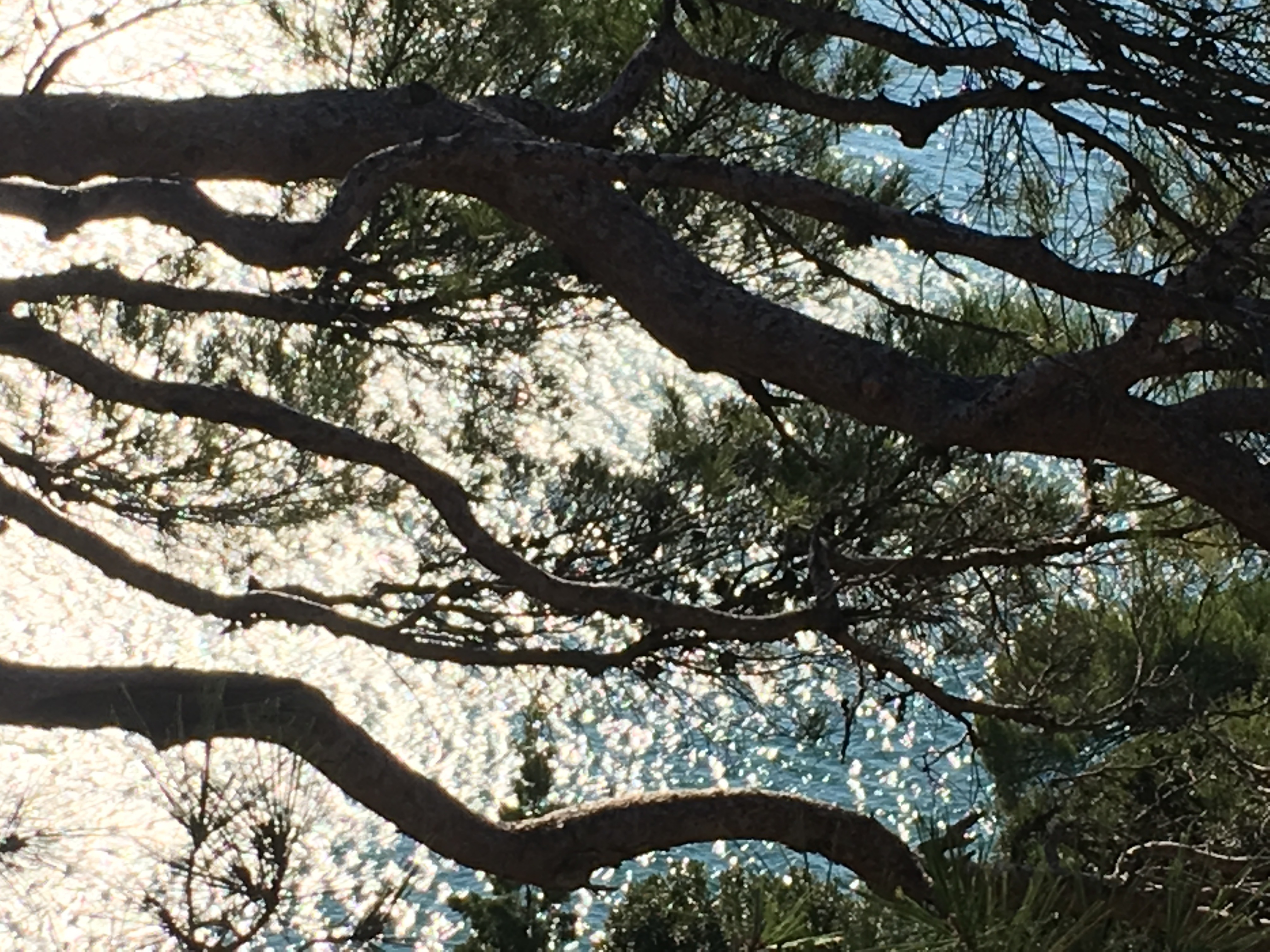 简约奢华的海景公寓改造-66