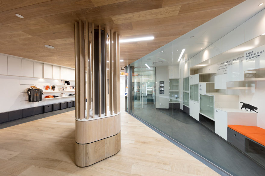 爱心港湾 | 最佳朋友动物协会新收养中心-13