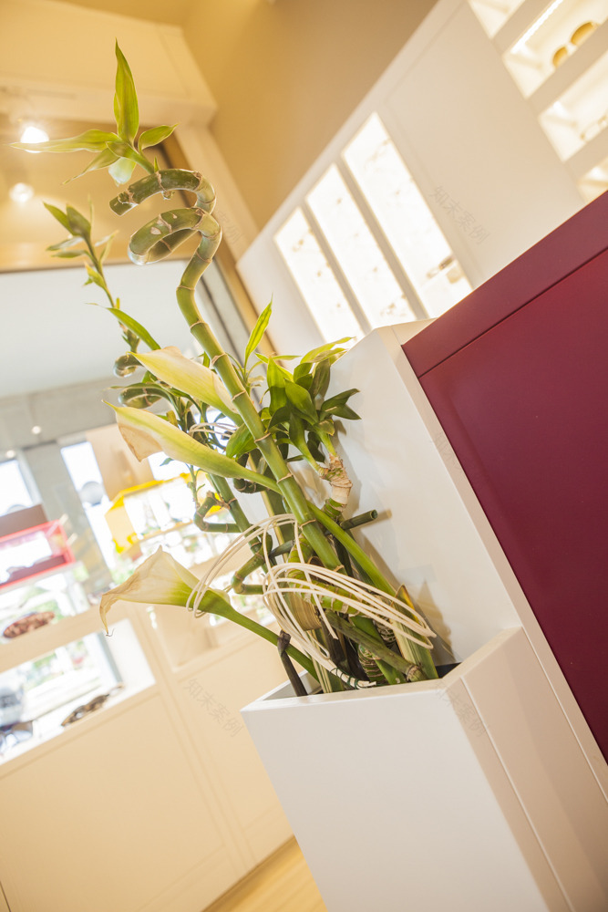 自然绿意融入的定制家具光学商店设计-5