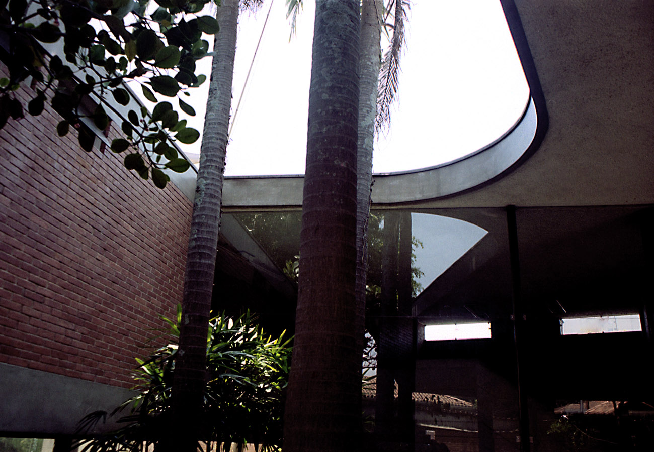 绿意盎然的家庭住宅-11