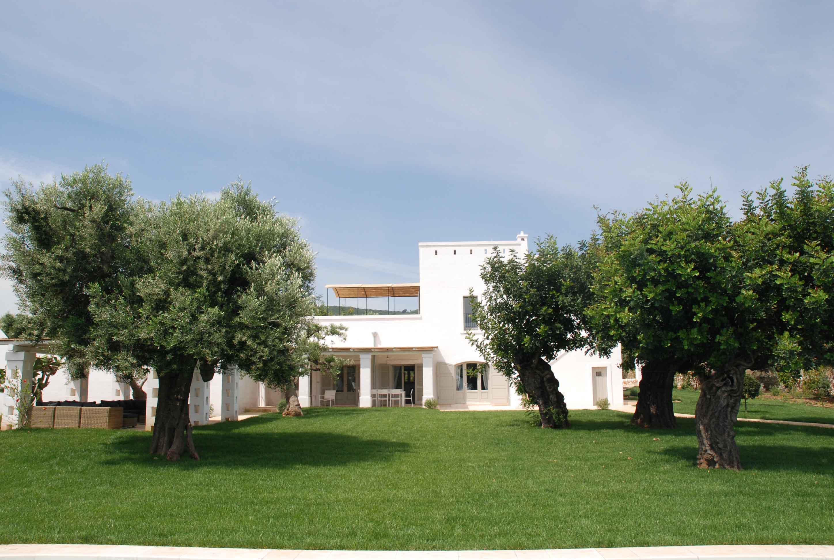 2015 年完成的单家庭住宅复兴之作-7