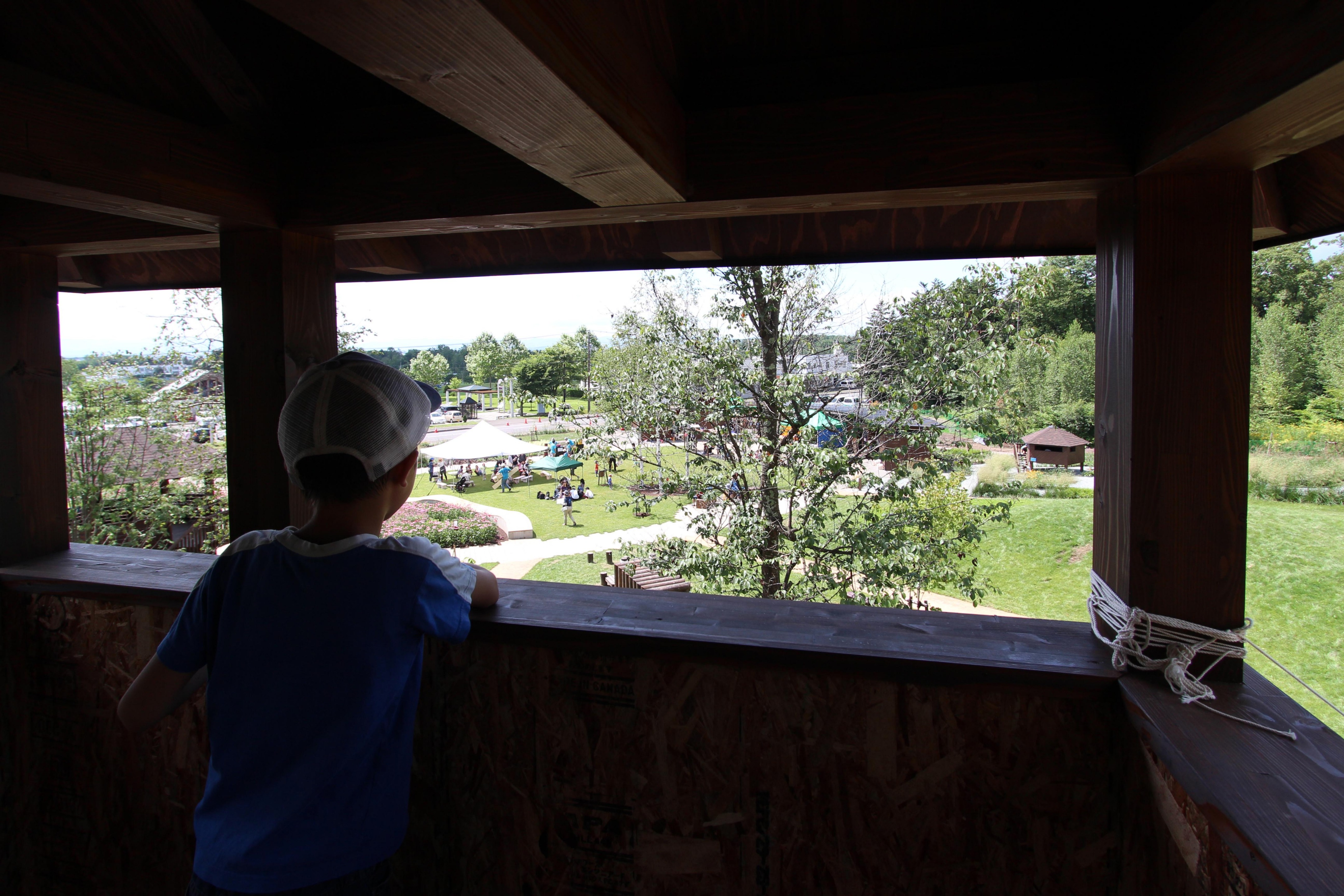 2015 年完成的库鲁米娜公共花园-43