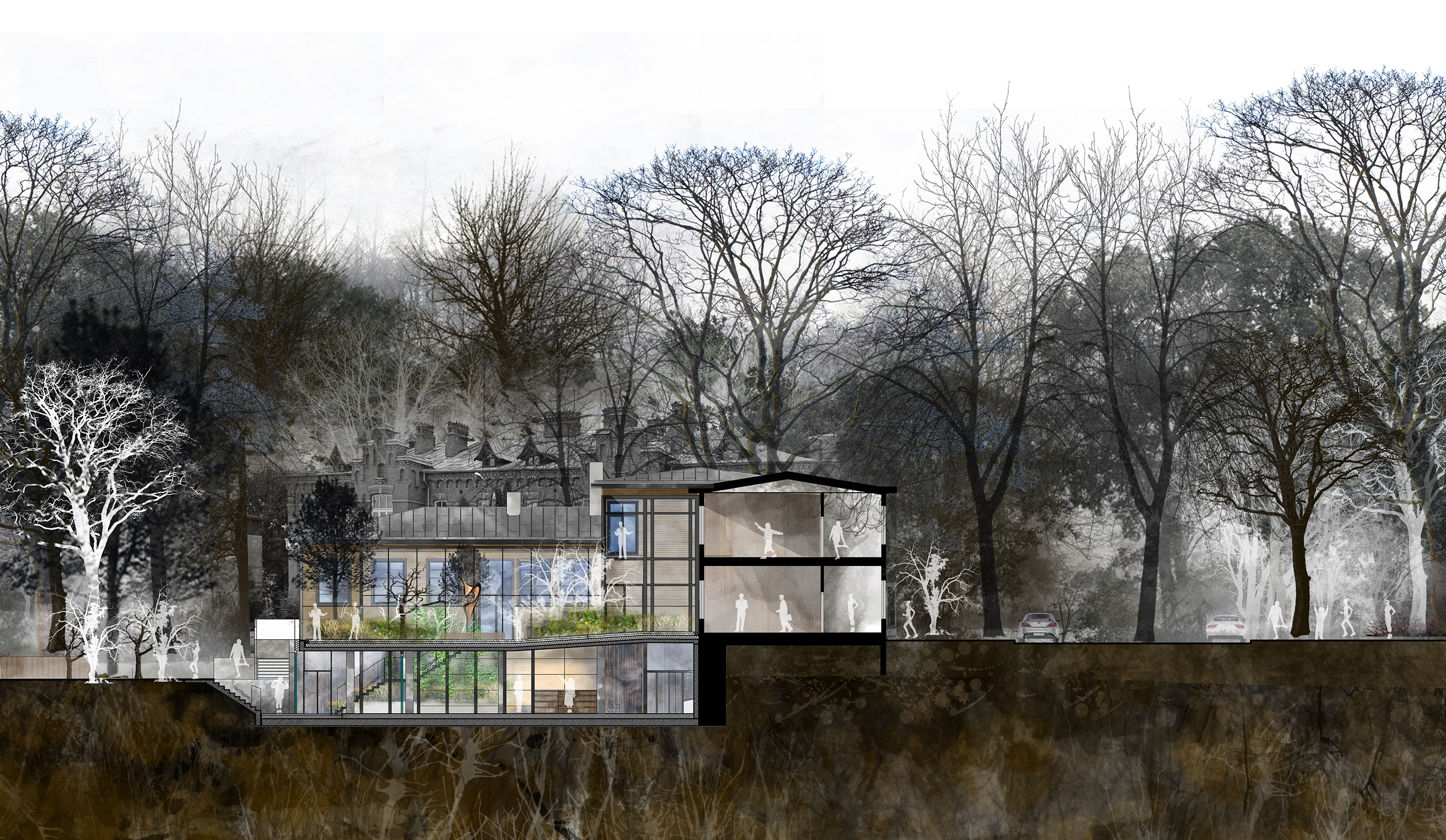 绿意盎然的比亚沃维耶扎木中心——旧校舍的现代重生-19