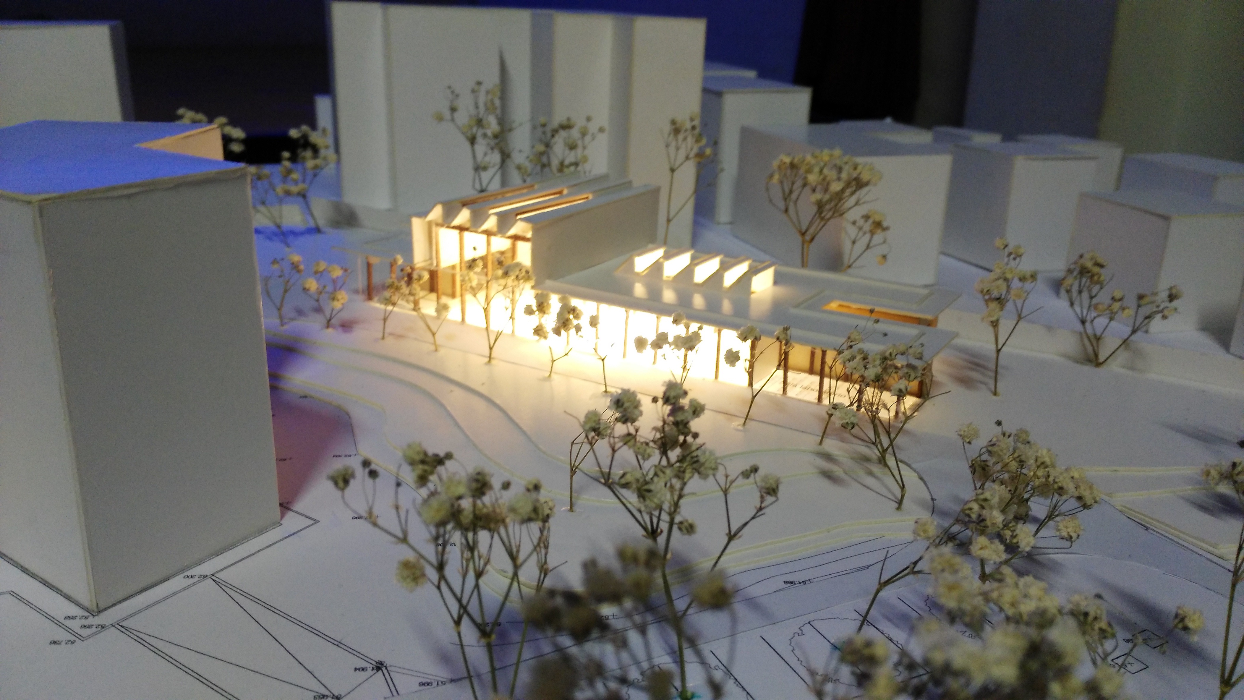 梦幻花园图书馆-24