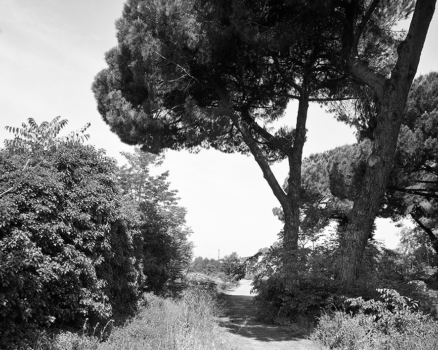 佛罗伦萨新歌剧院 - 城市更新的文化地标-7