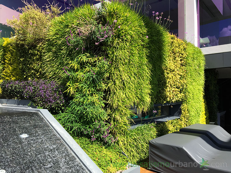 墨西哥绿意盎然的家庭住宅-27