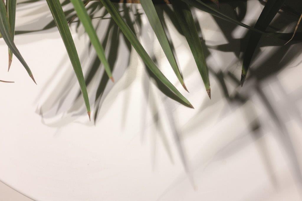 融合自然与人文的 Noor Island 广场设计-3