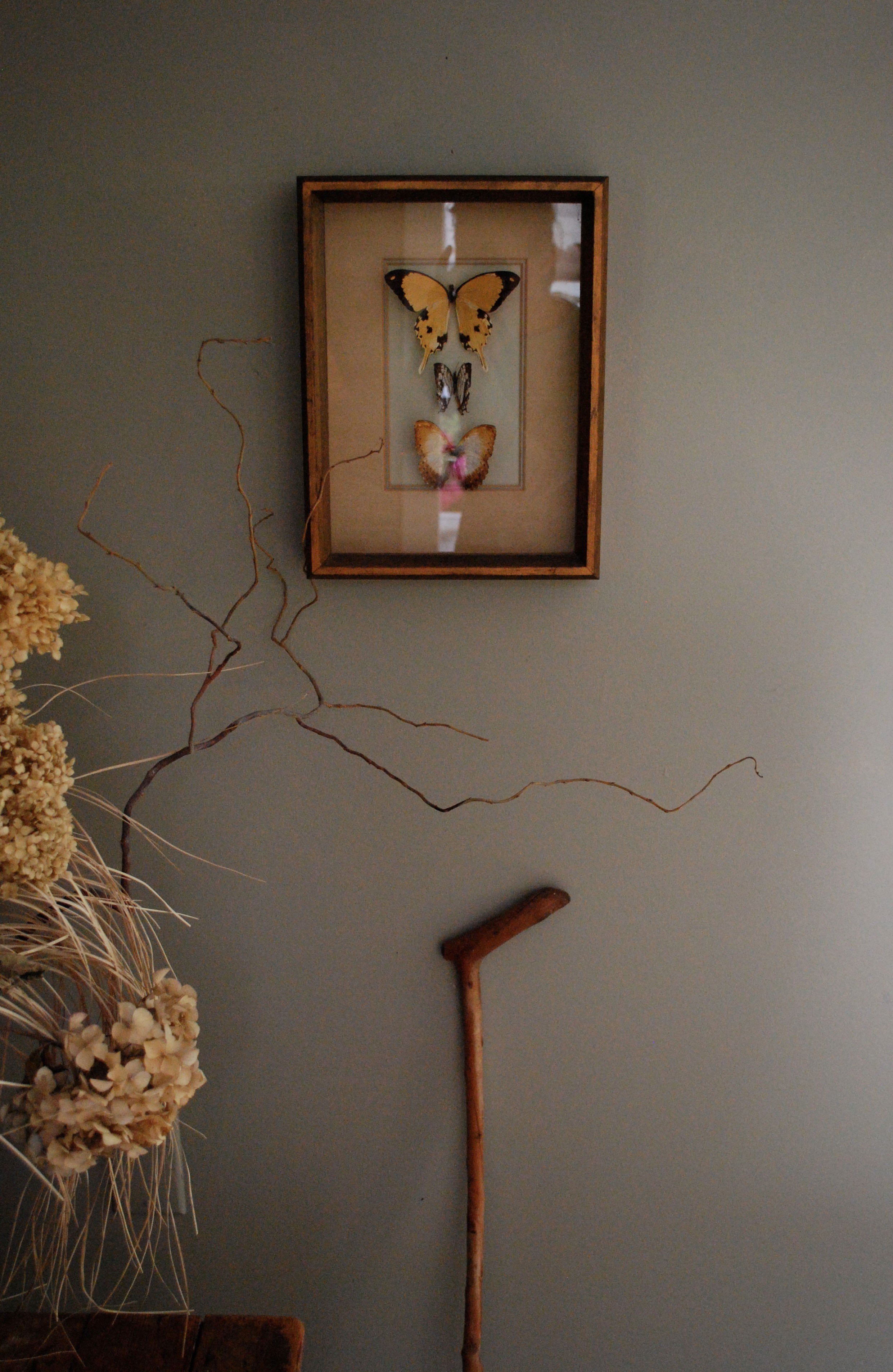 回归经典的岛屿美学——花园小屋-5