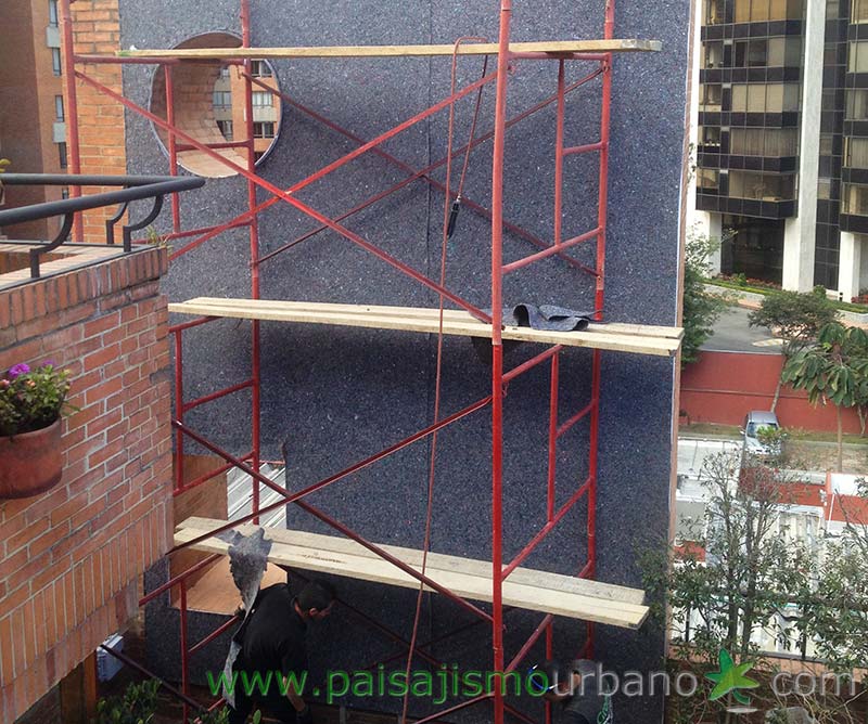 哥伦比亚绿色公寓墙 · 13 种植物的垂直花园-7