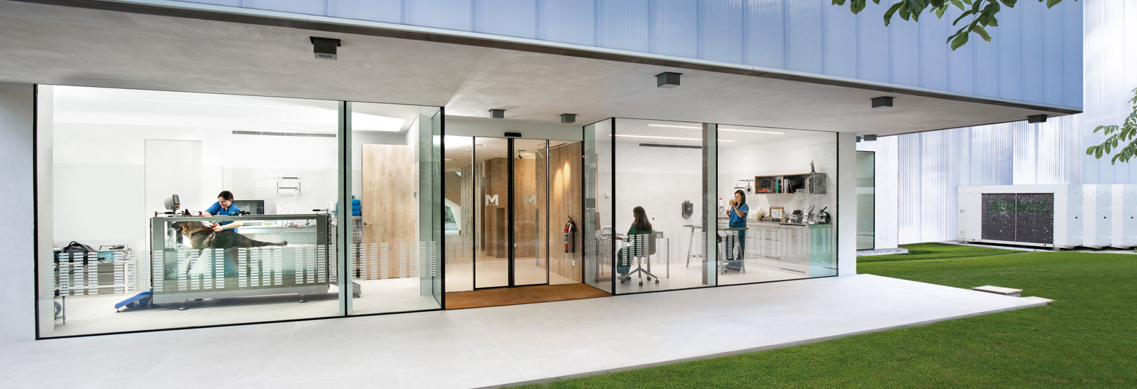 瓦雷泽兽医诊所-2