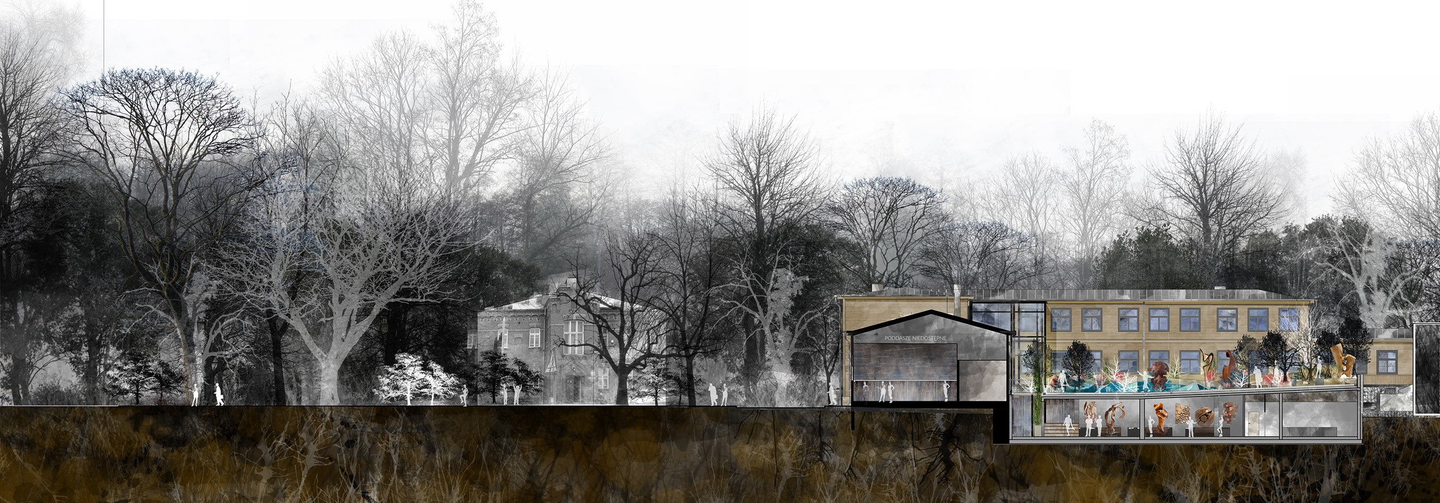 绿意盎然的比亚沃维耶扎木中心——旧校舍的现代重生-17