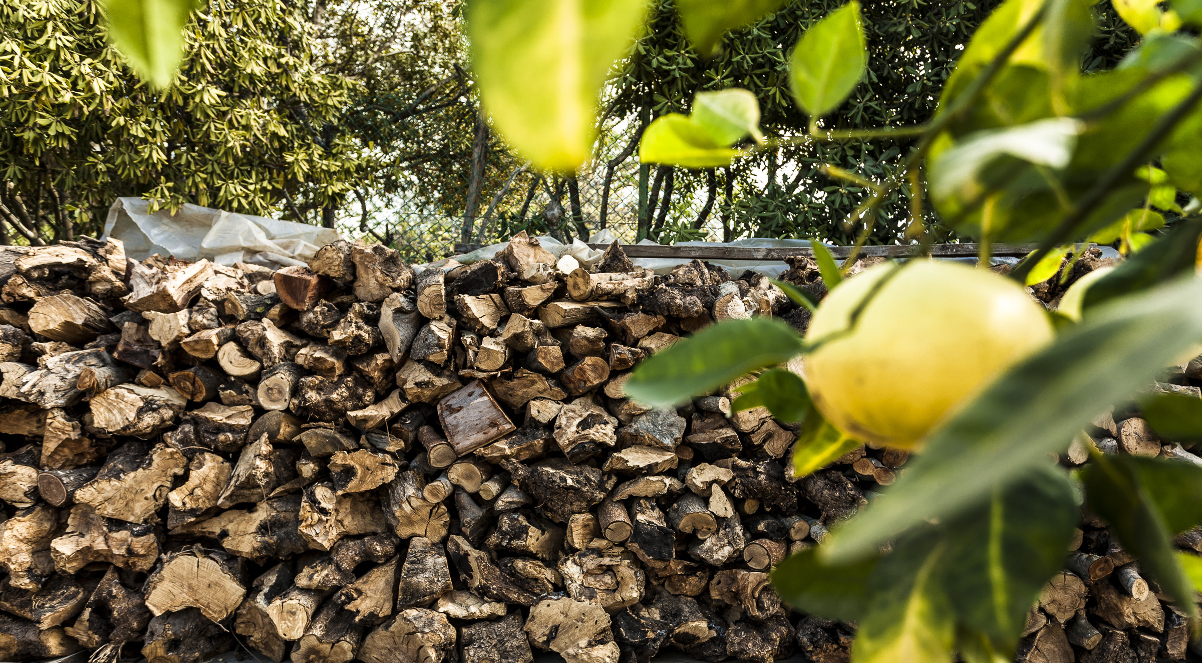 美式温馨家园-23