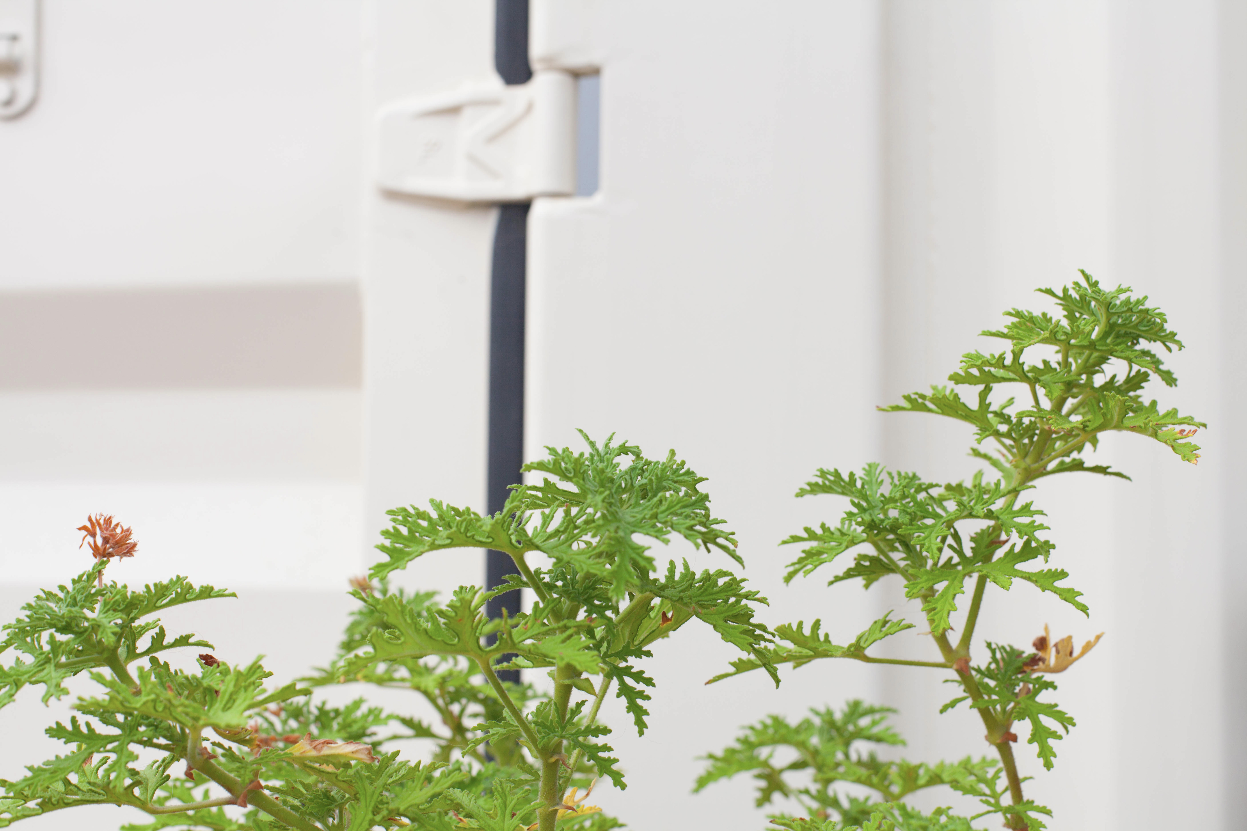 海洋主题休闲餐厅设计-3