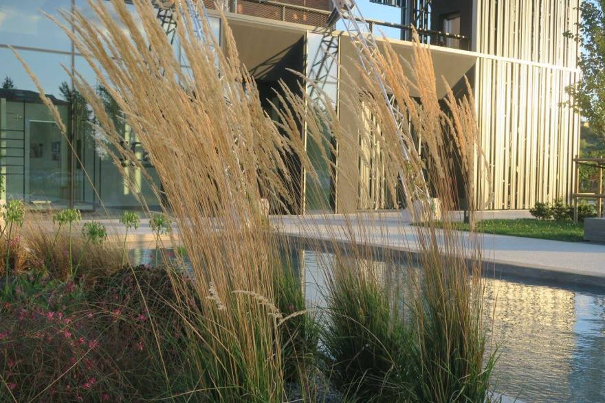 2017 年完成的 Scrigno Lab 项目——室内设计精品之作-16