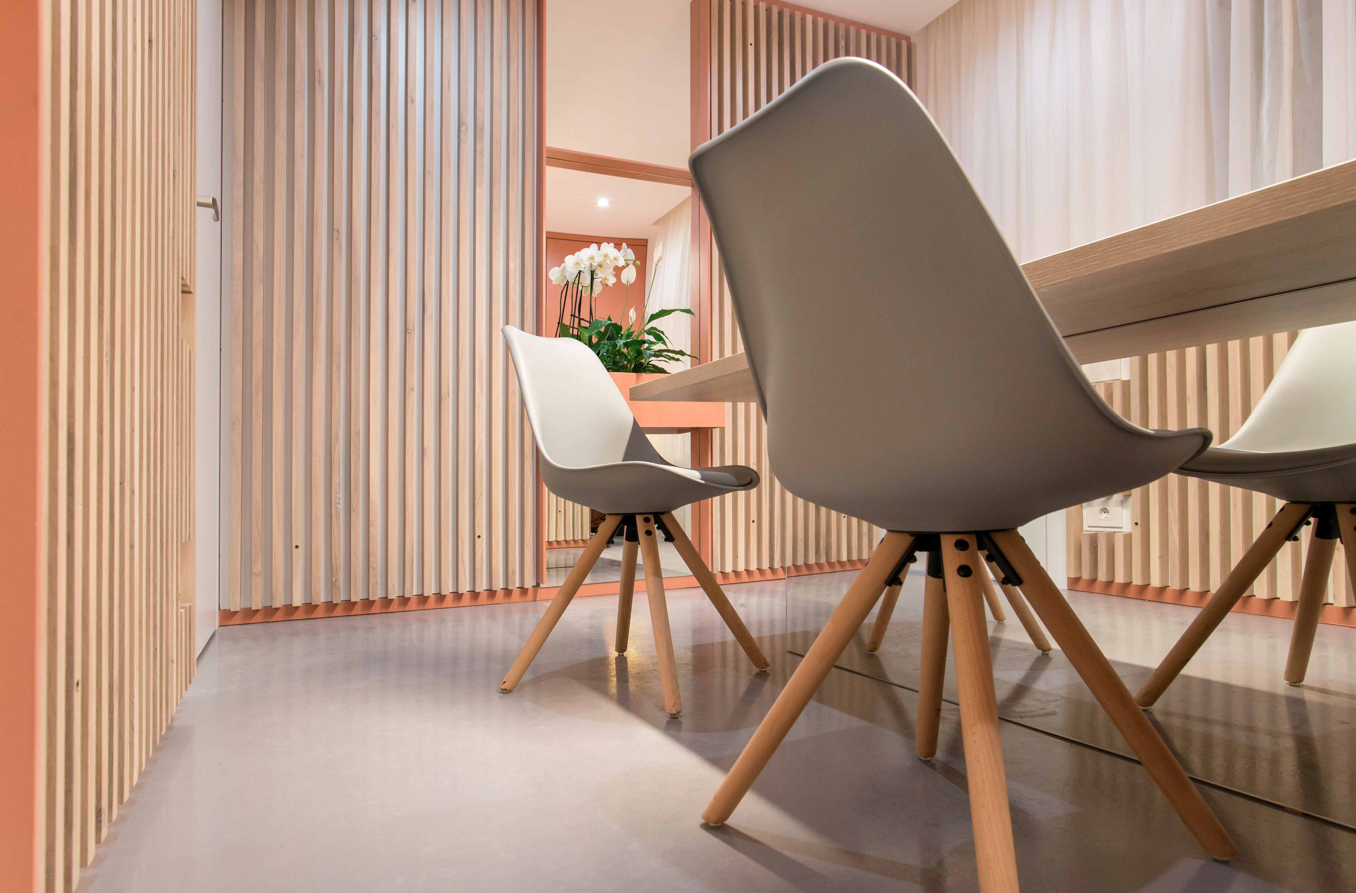 律政俏佳人的梦幻工作室-12