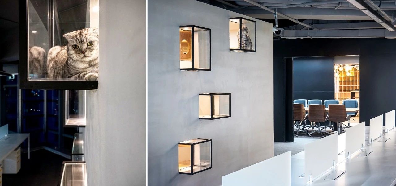 脸萌科技总部办公设计 | 童真与创意的完美融合-16