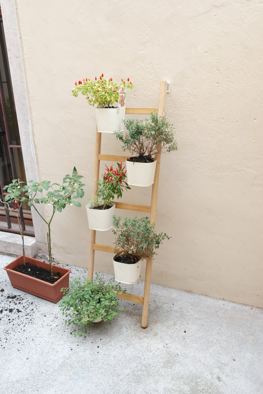 Tarantella Food 室内设计-20