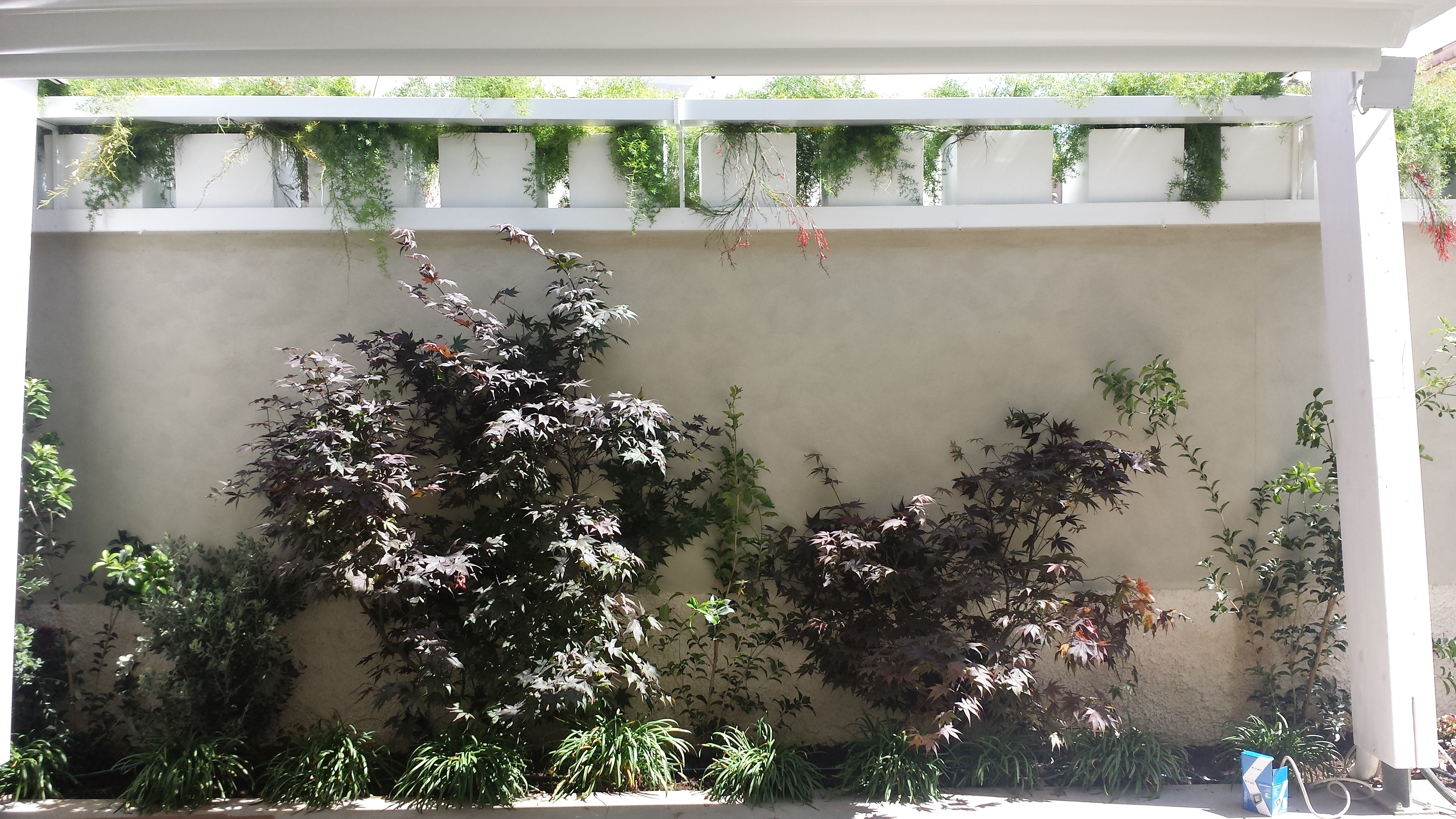 绿意盎然的城市花园——"Verde Matematico"餐厅设计-9