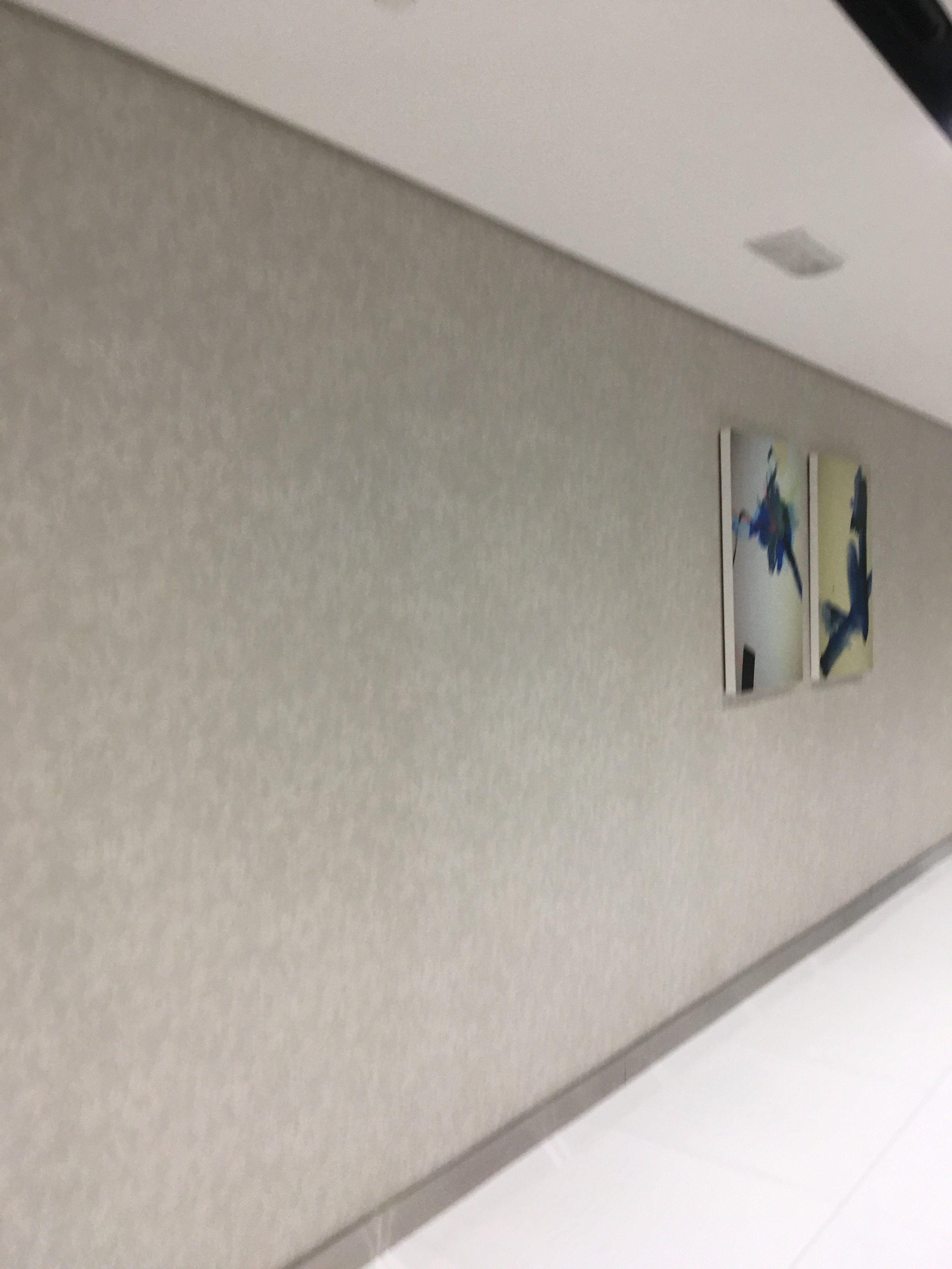 2017 年完成的政府大楼室内设计案例-7