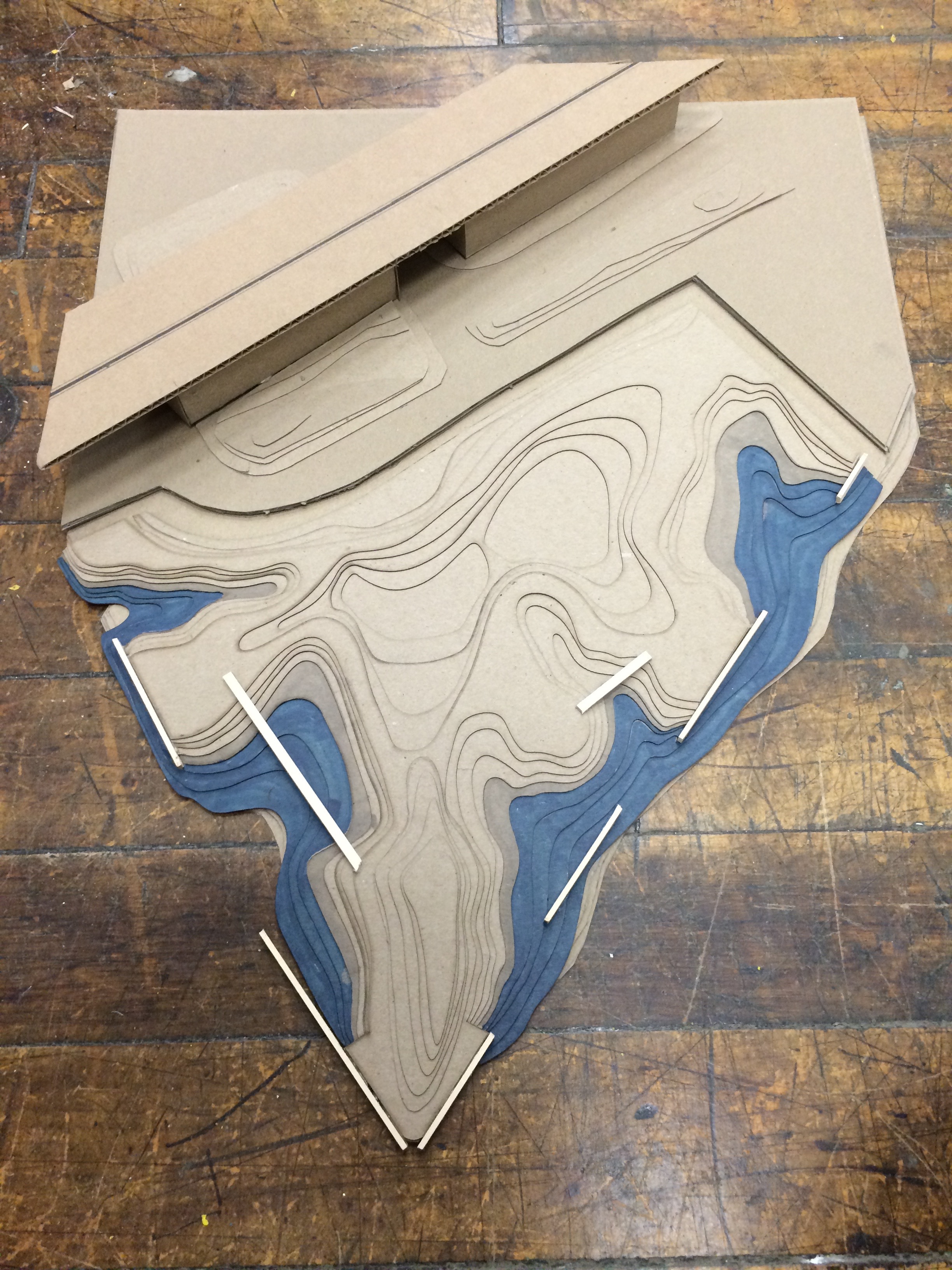 Site Ecology Studio Spring 2015-25