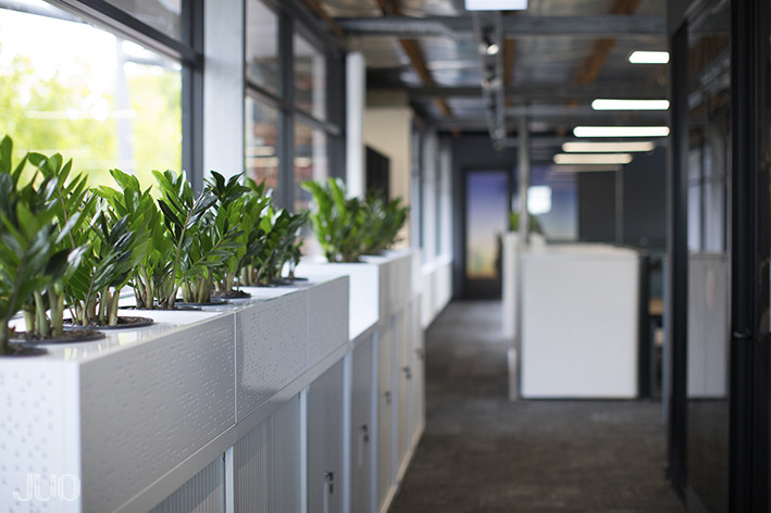 自然光照亮西澳大利亚 RUAH Subiaco 办公空间-13