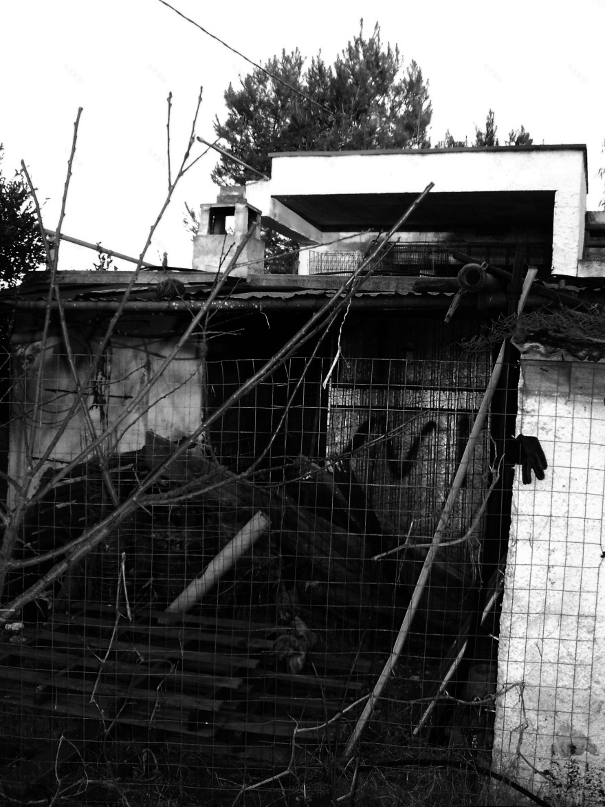 历史与当代的交融 | 卡赞诺奇家庭住宅-23