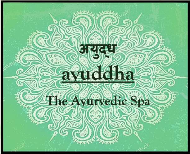 古印度疗愈之旅 | Ayudha- The Ayurveda Spa-2