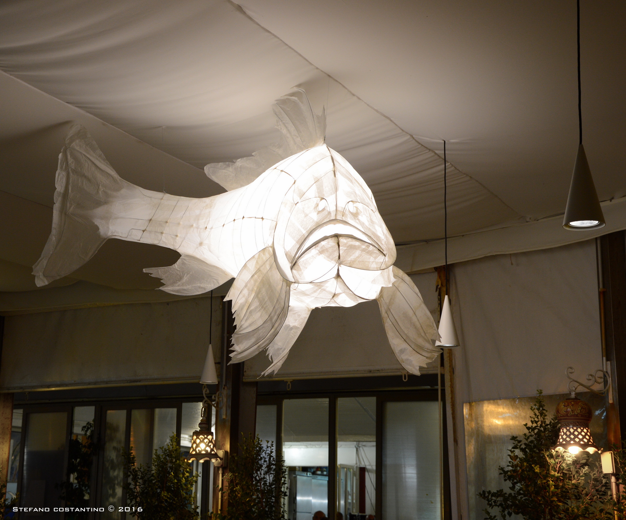 光怪陆离的海底餐厅-3