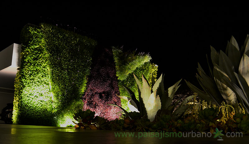 墨西哥绿意盎然的家庭住宅-25