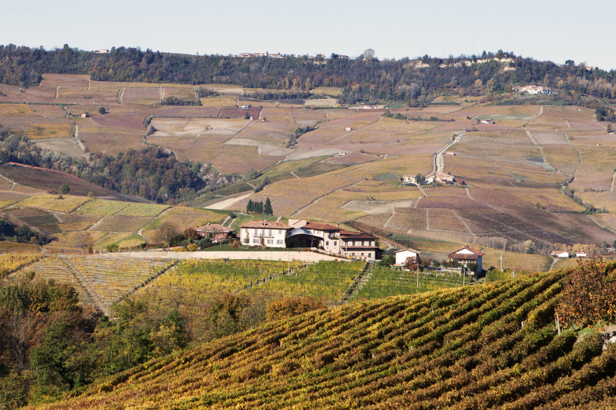 2017 年完成的红酒酒庄 CANTINA PARUSSO 室内设计案例-45