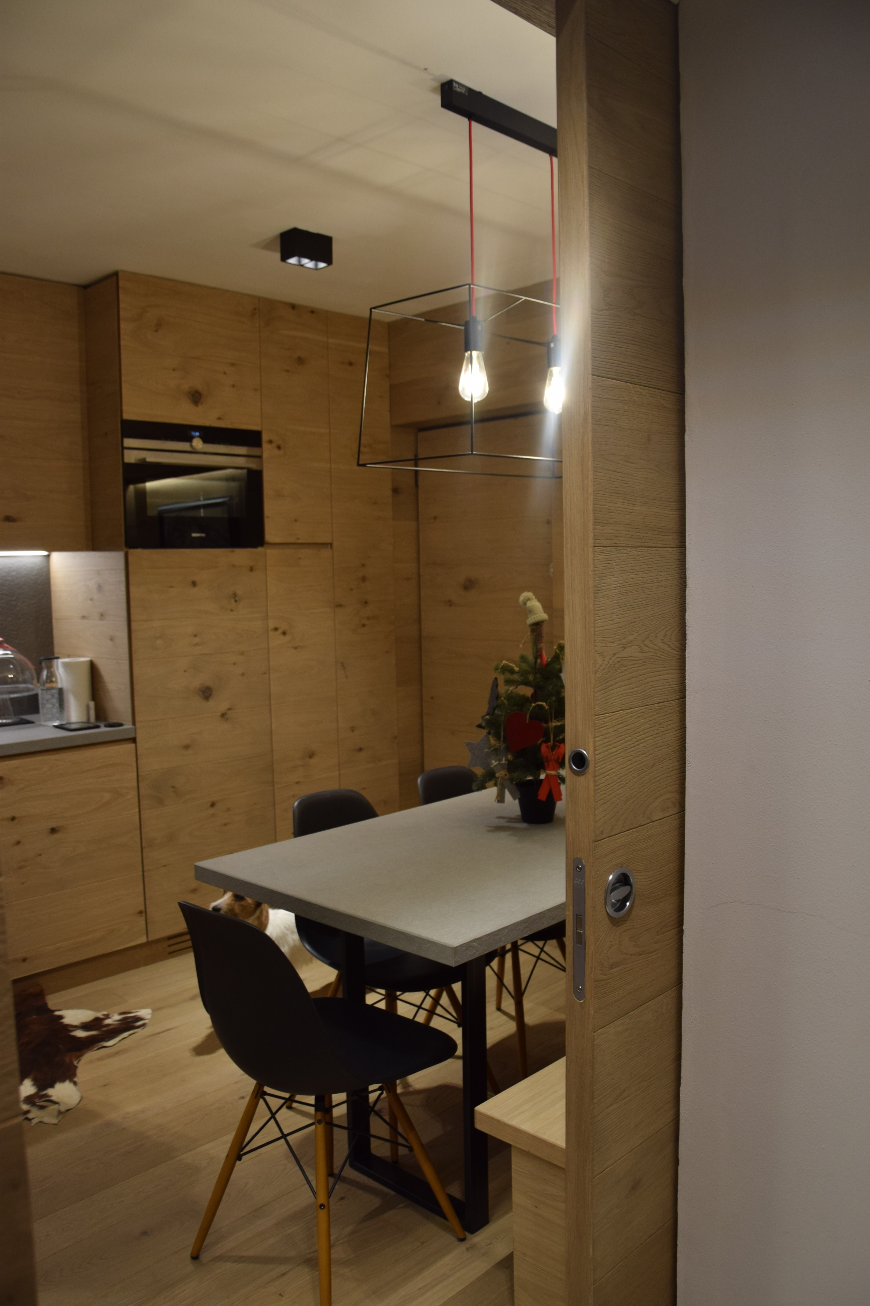 2017 年完成的阿尔卑斯山间别墅设计-20