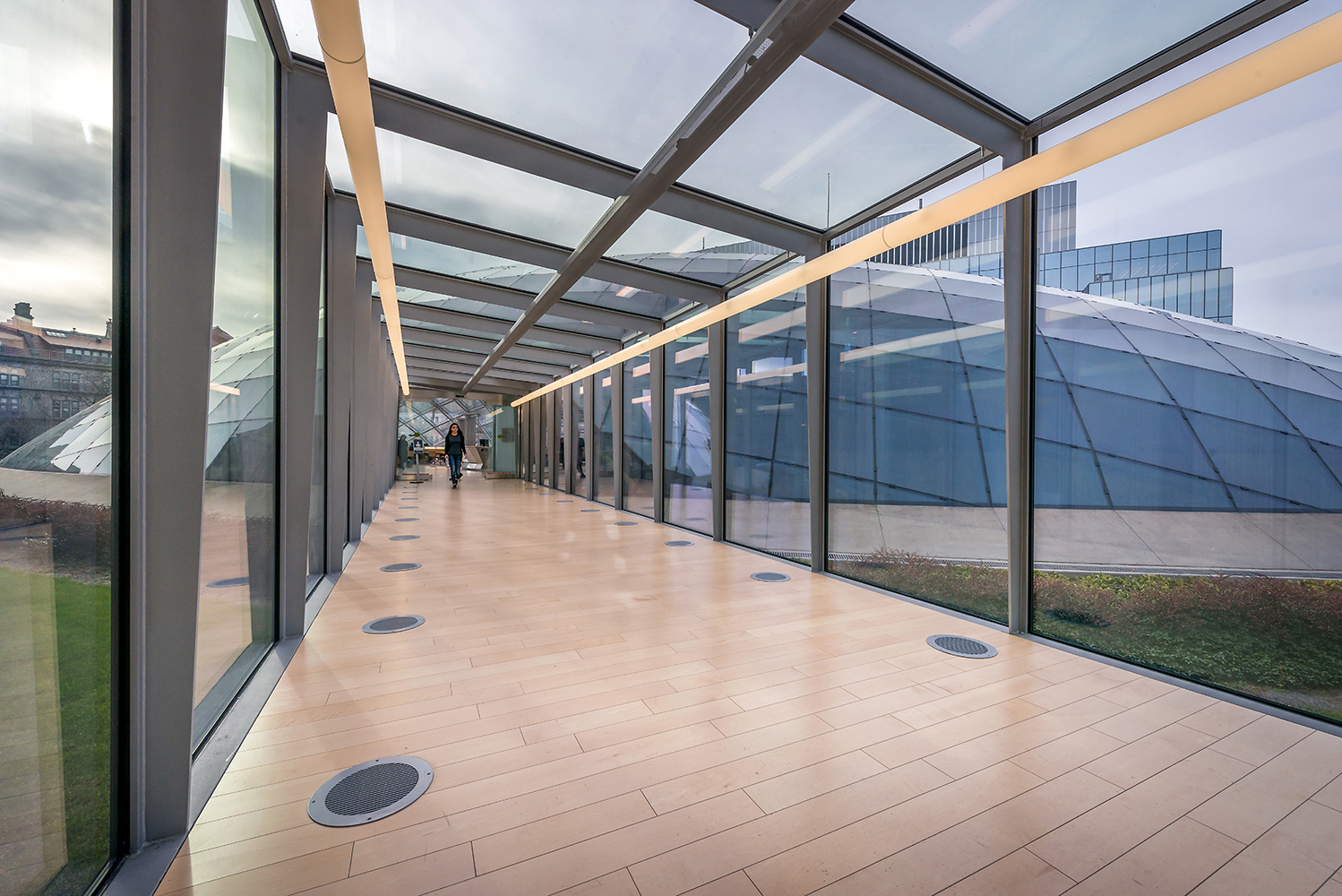 曼苏托图书馆-11