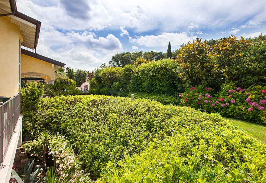 宁静的天堂花园·水上豪华景观设计-6