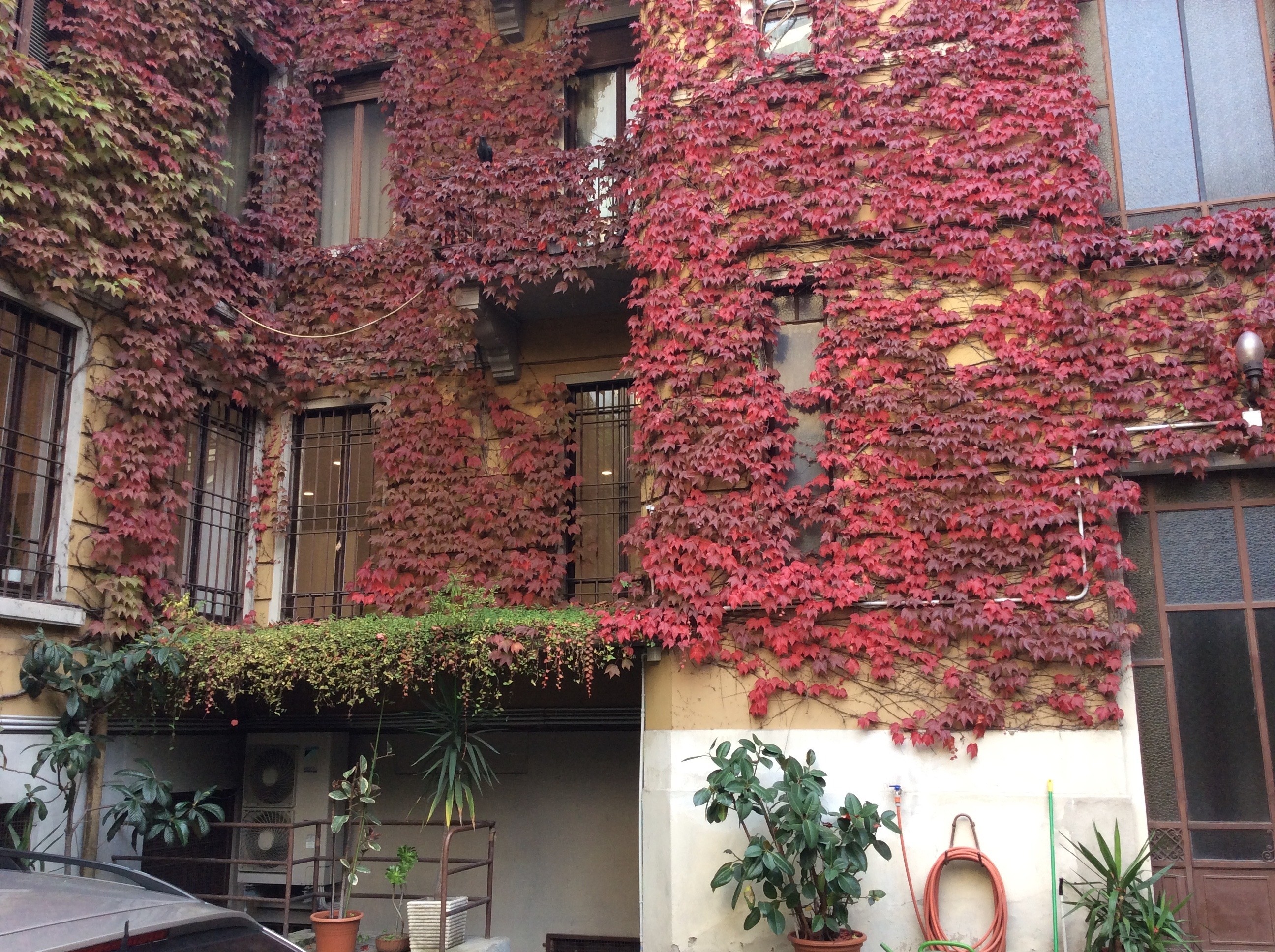 米兰 19 世纪 800 年老建筑中的高端卫浴展示厅-3