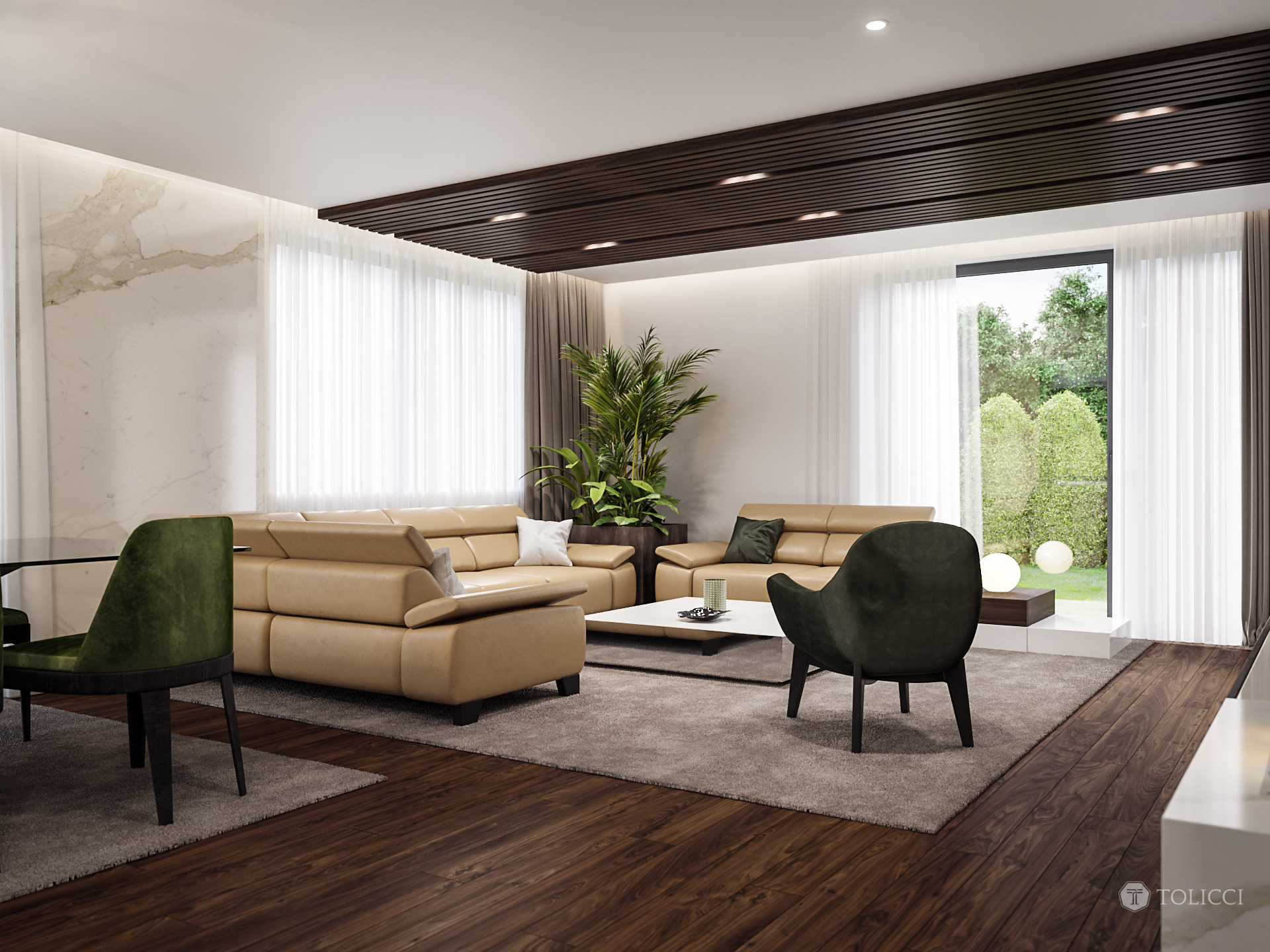 2017 年未实现的巴č家庭住宅设计-9