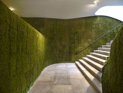 绿意盎然垂直花园-21