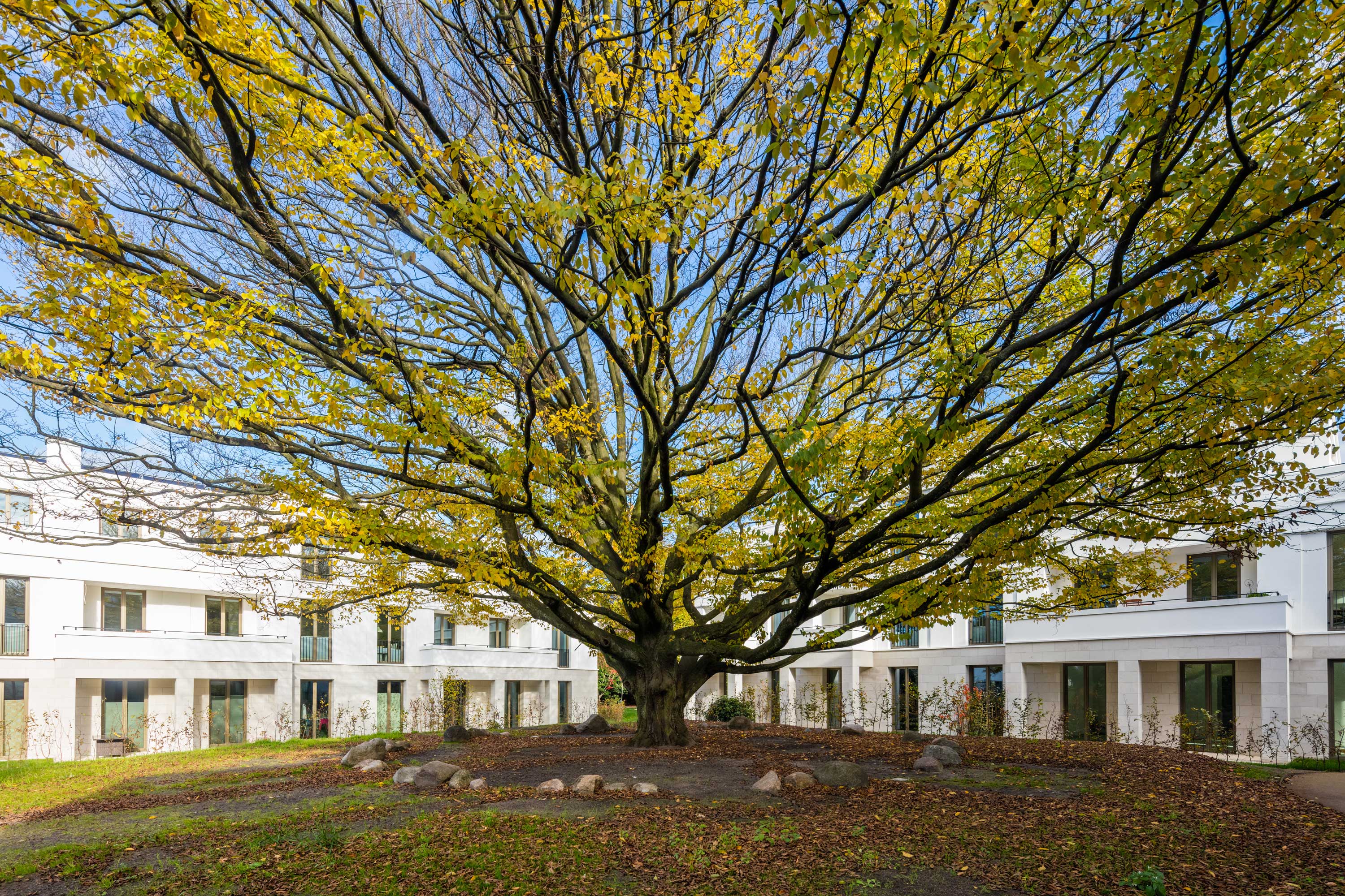 汉堡贝纳多特街 83 号 多层公寓的精致室内设计-0