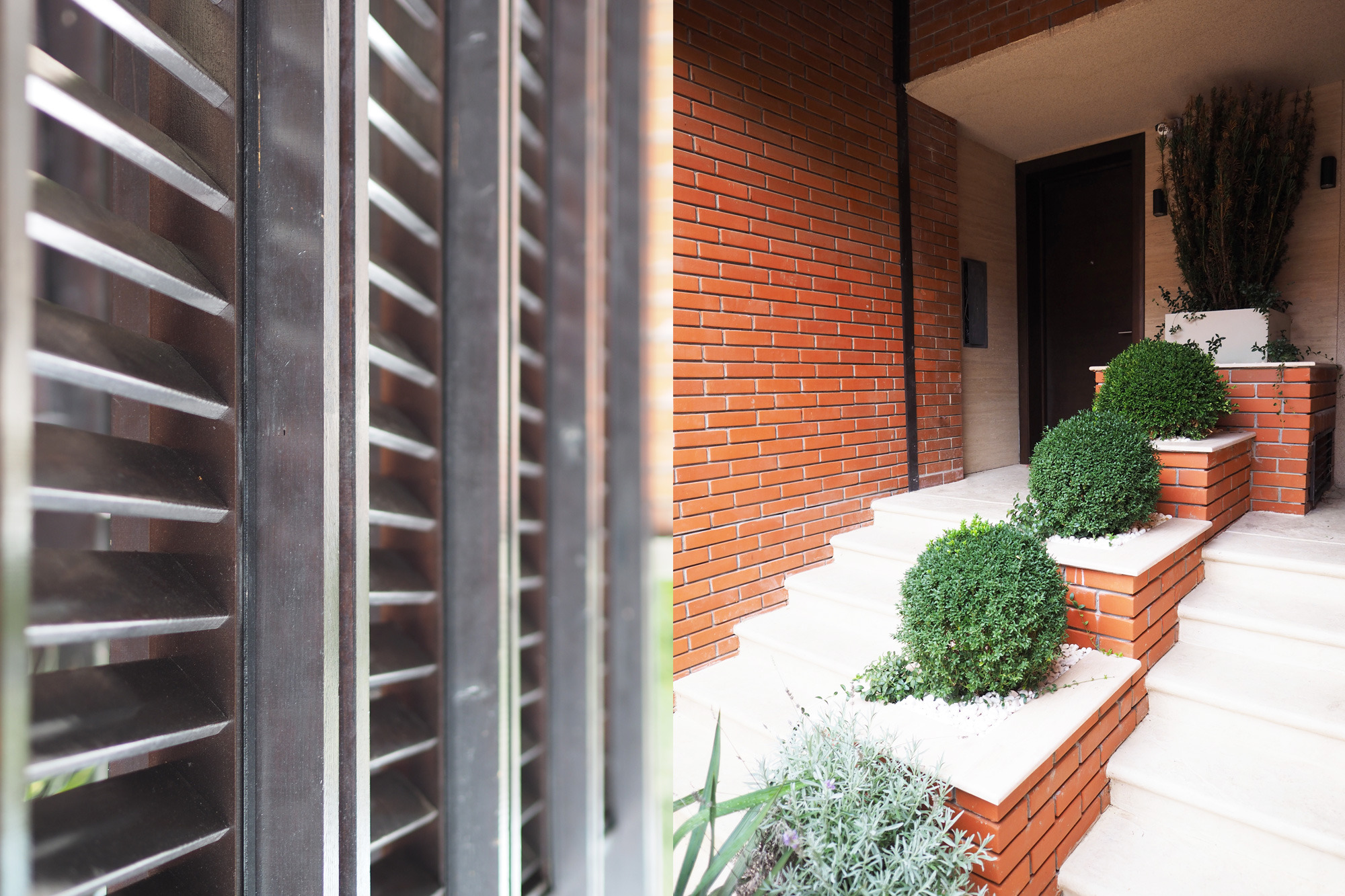 城市中的世外桃源-2